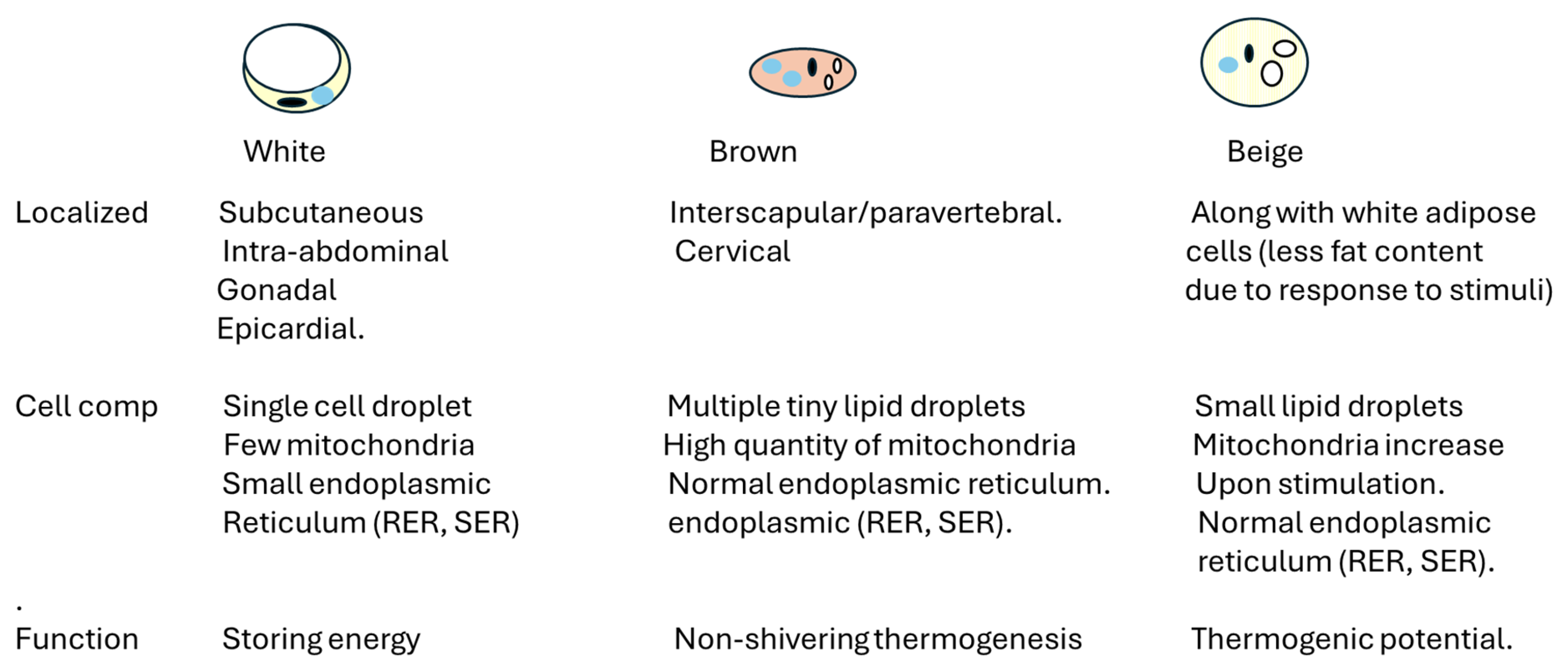 Ijms 26 00862 g001 Ijms 26 00862 g001