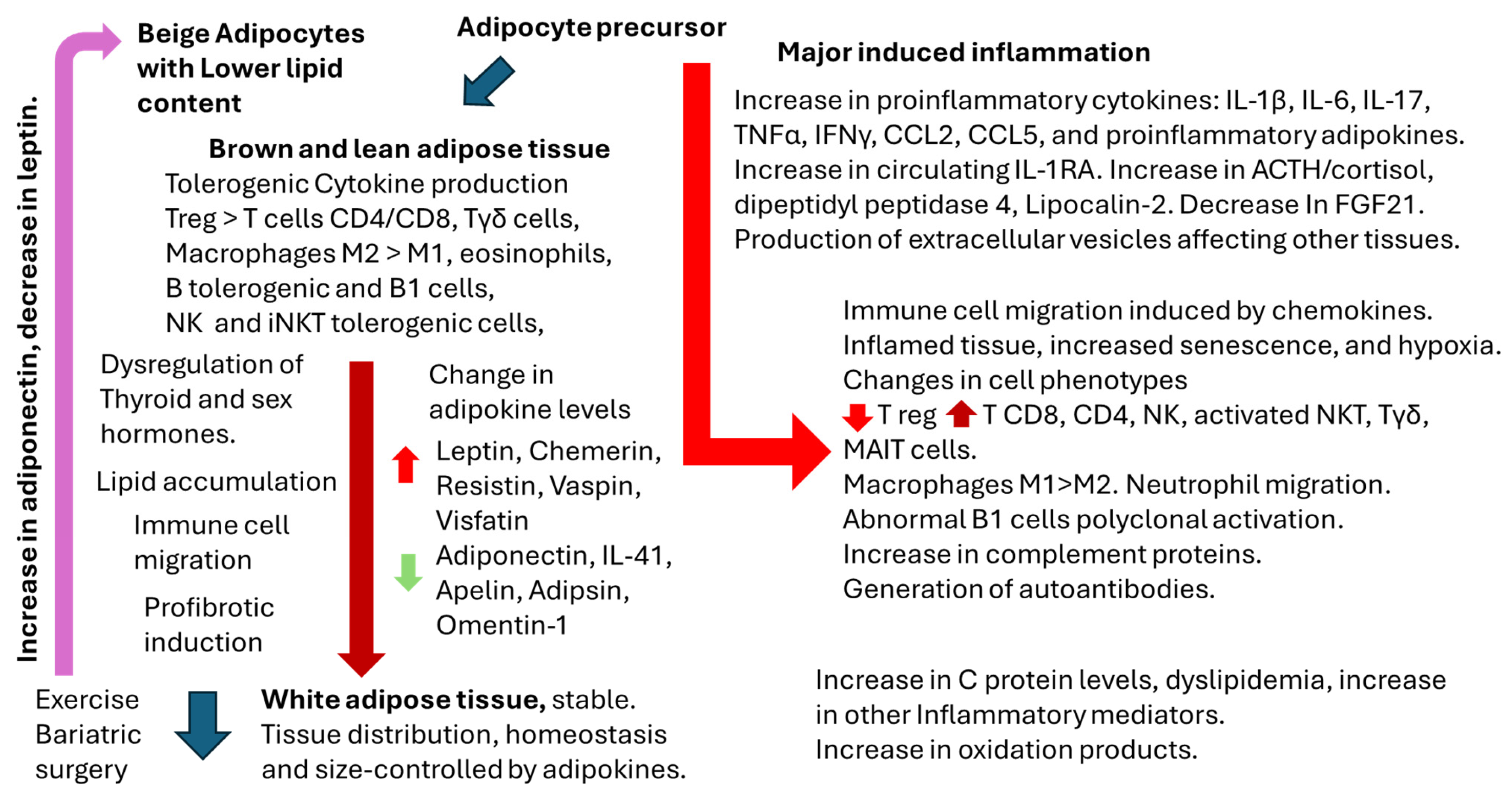 Ijms 26 00862 g003 Ijms 26 00862 g003