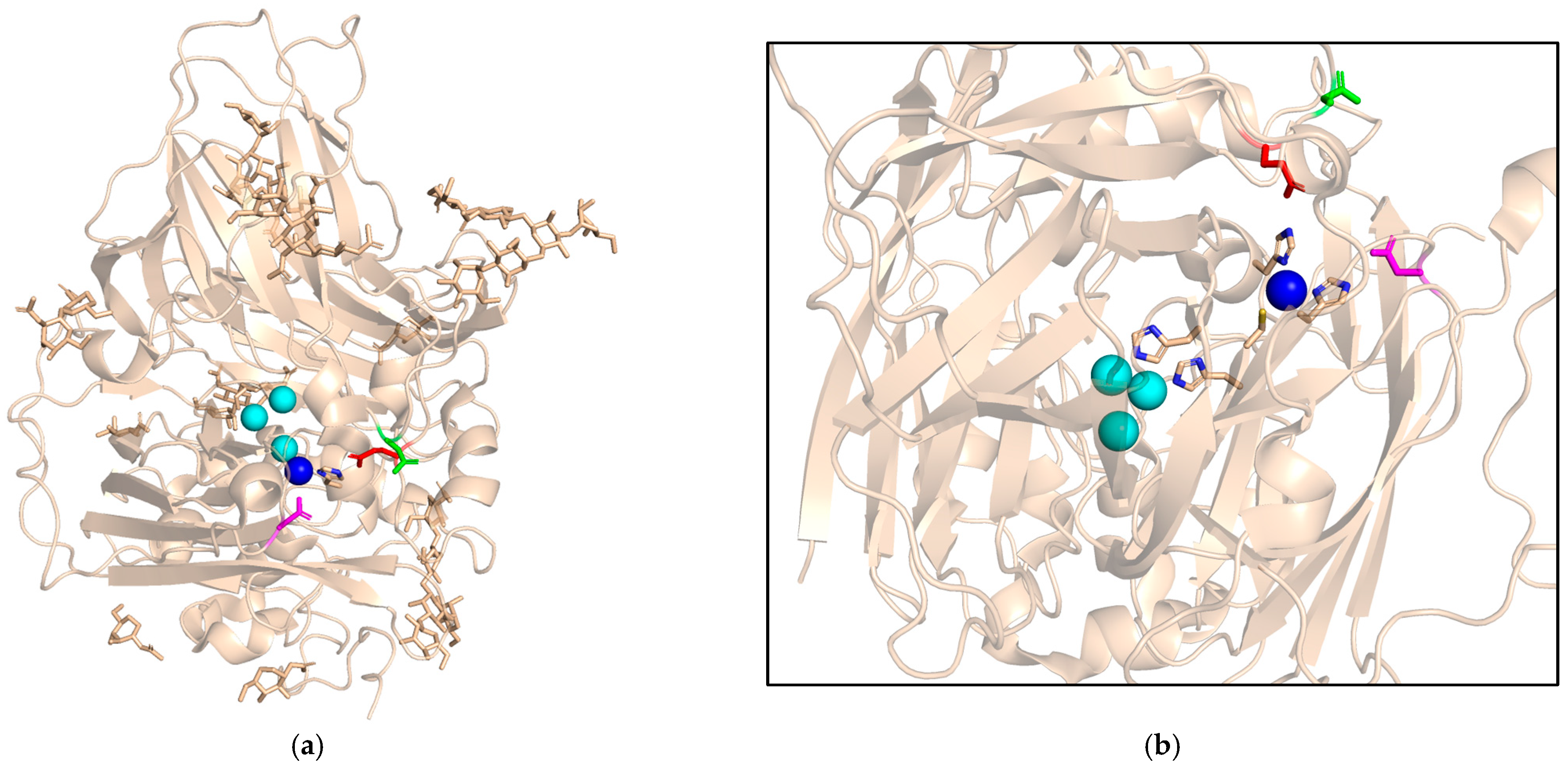 Ijms 26 00875 g002 Ijms 26 00875 g002