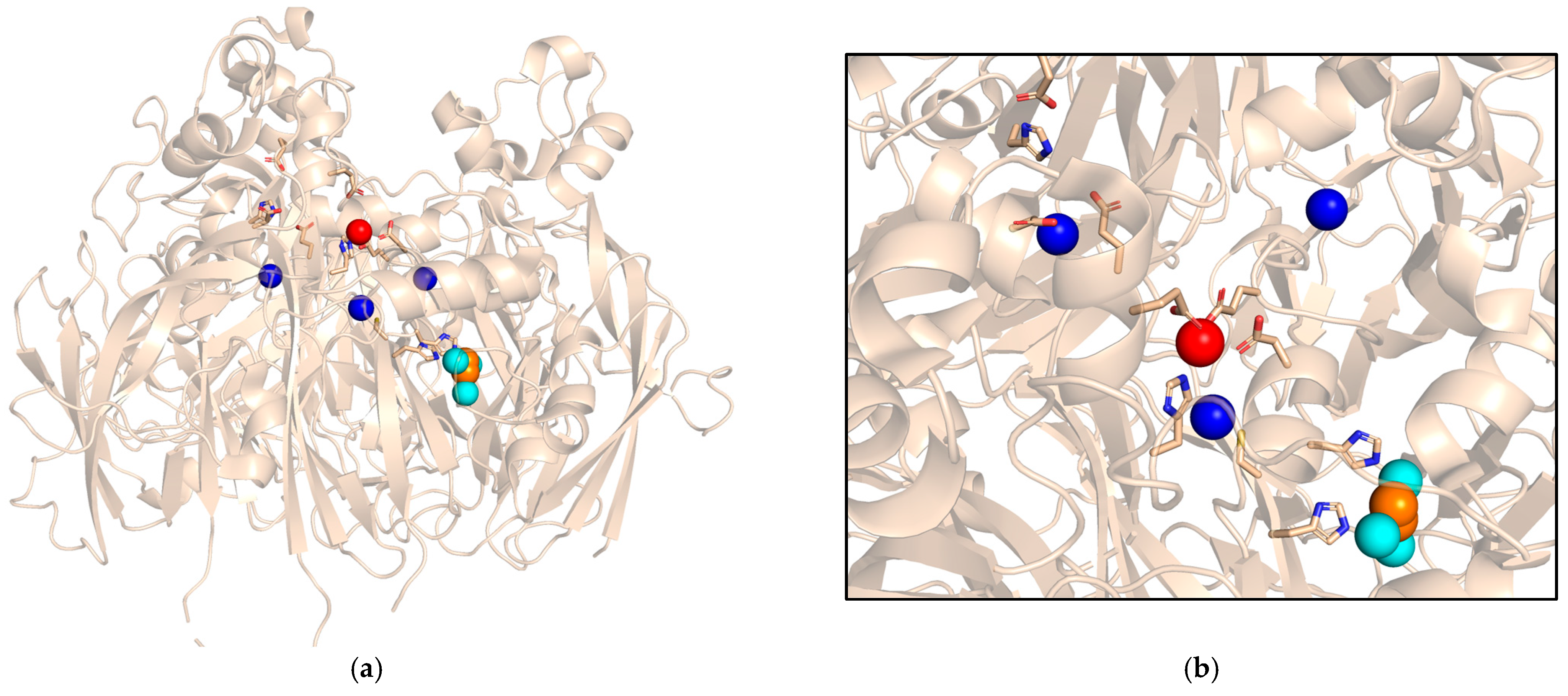 Ijms 26 00875 g003 Ijms 26 00875 g003