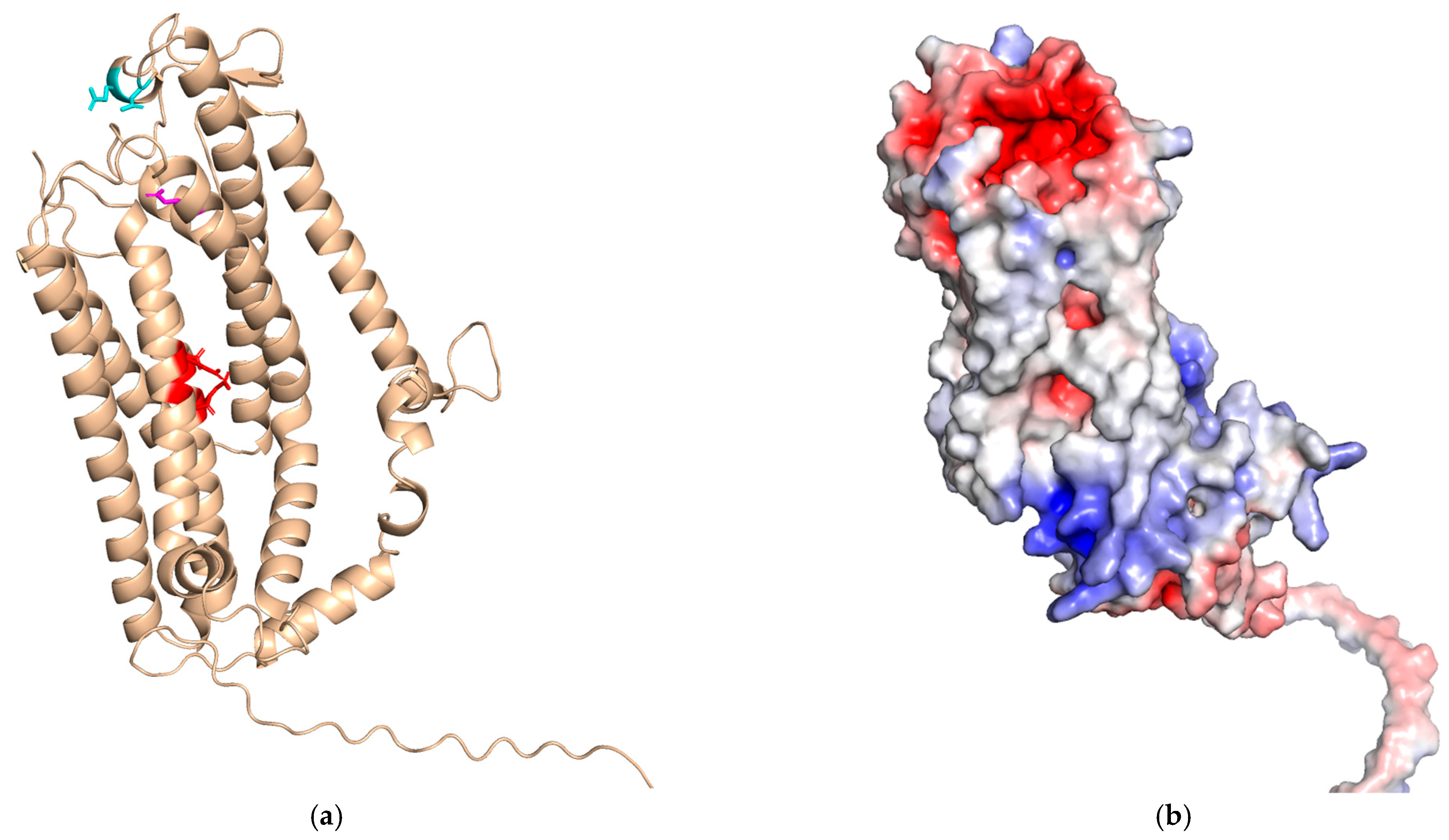 Ijms 26 00875 g004 Ijms 26 00875 g004
