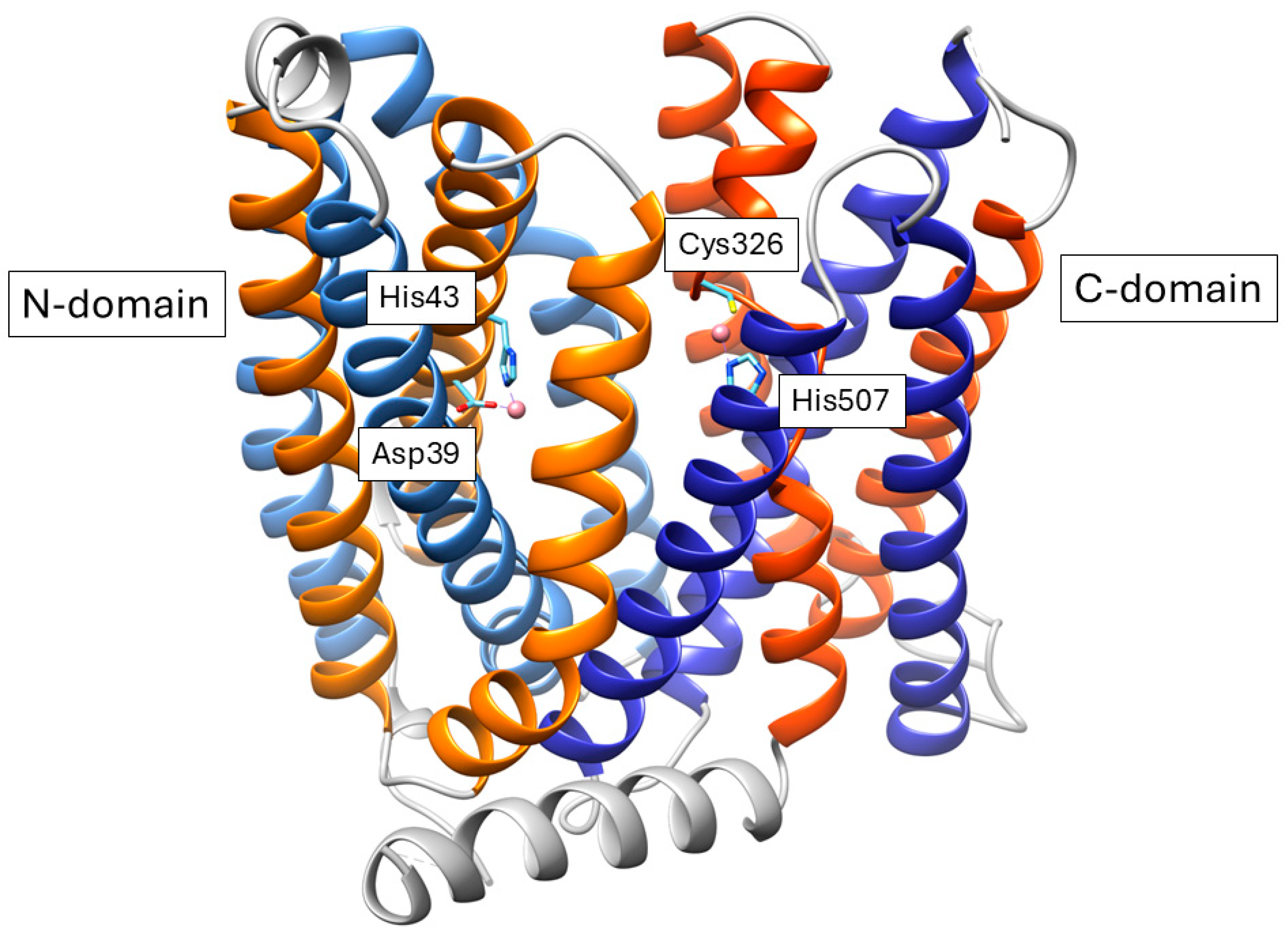 Ijms 26 00875 g005 Ijms 26 00875 g005