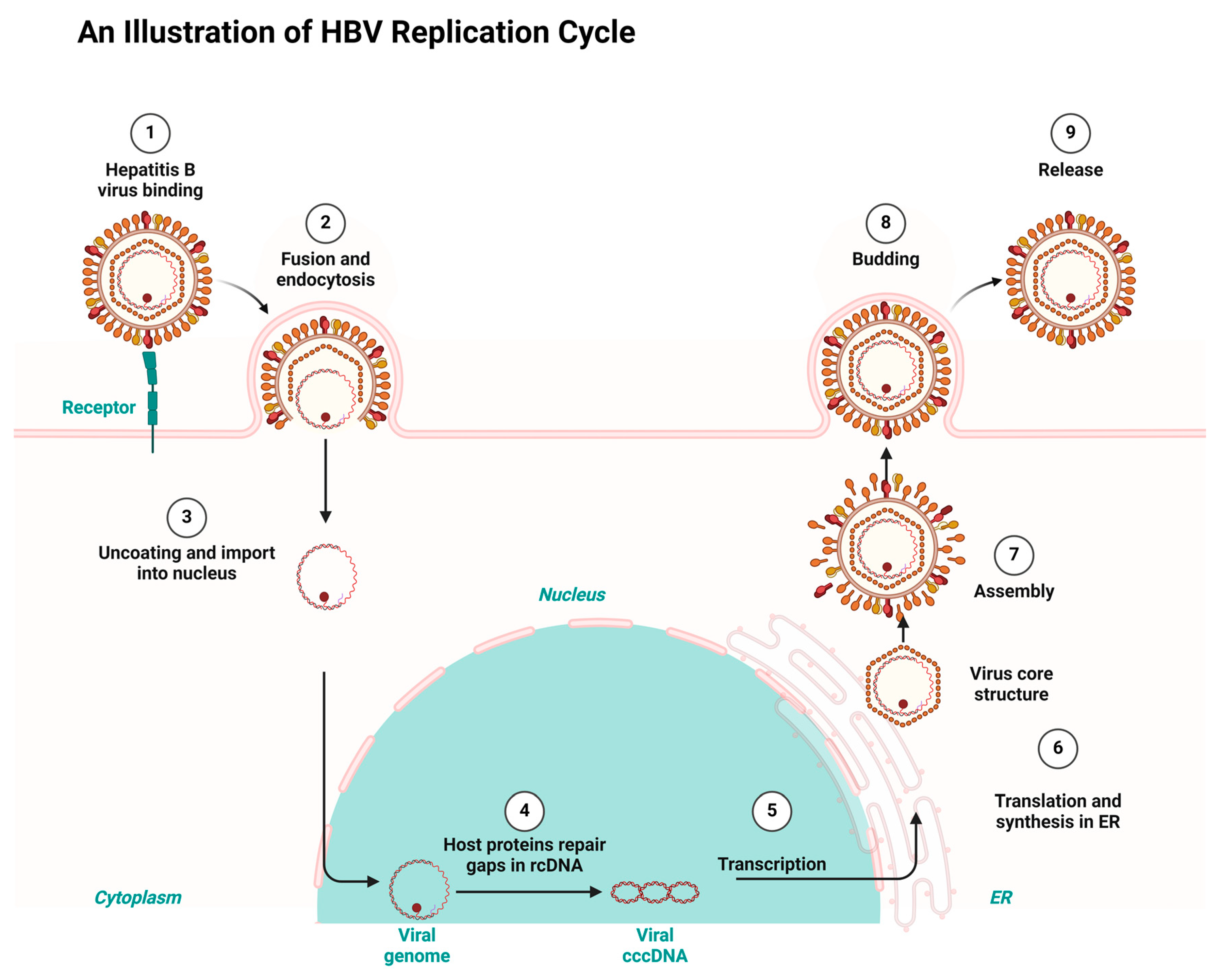 Ijms 26 00925 g002 Ijms 26 00925 g002