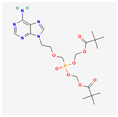 Ijms 26 00925 i001 Ijms 26 00925 i001