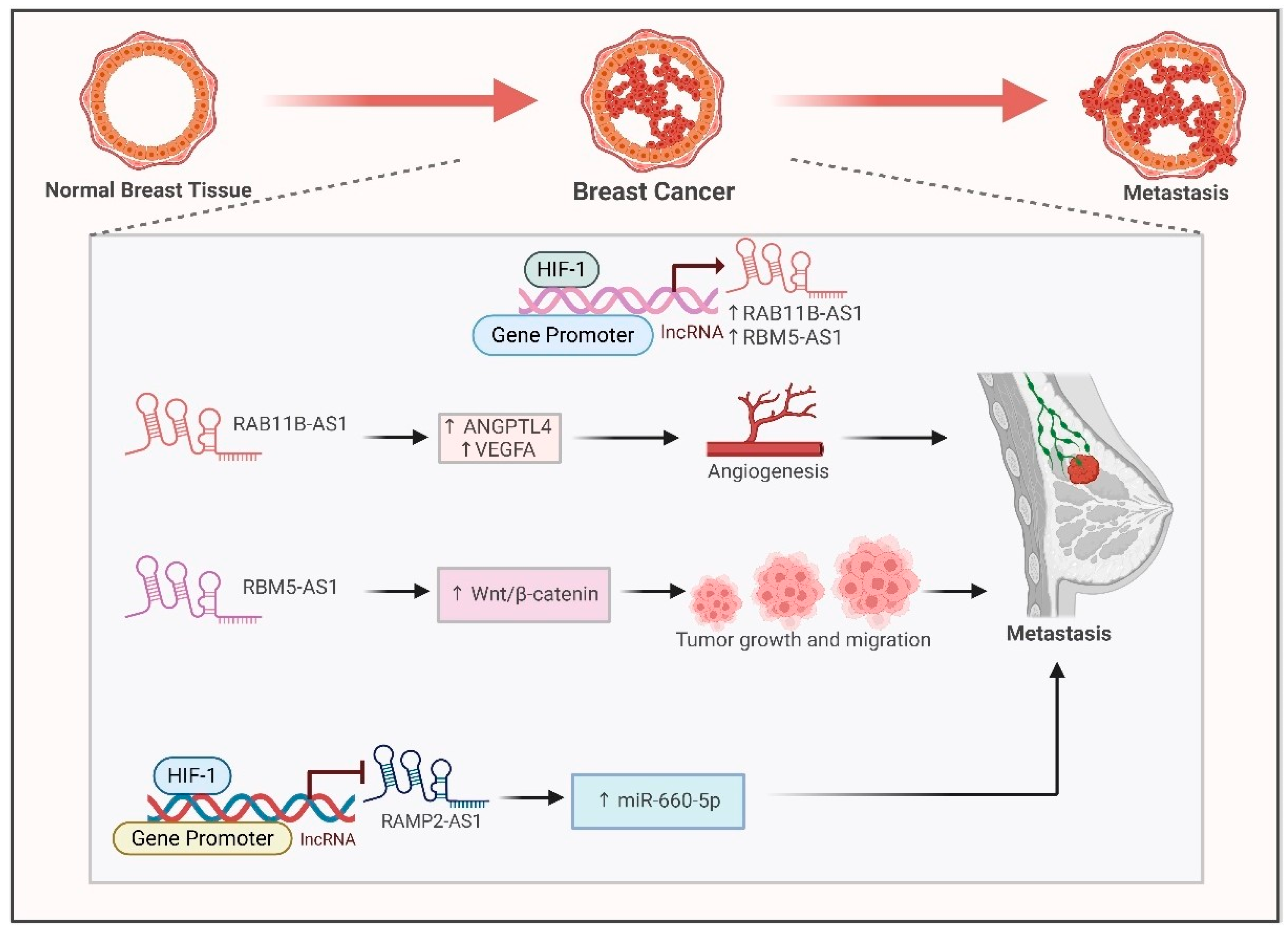 Ijms 26 00936 g003 Ijms 26 00936 g003