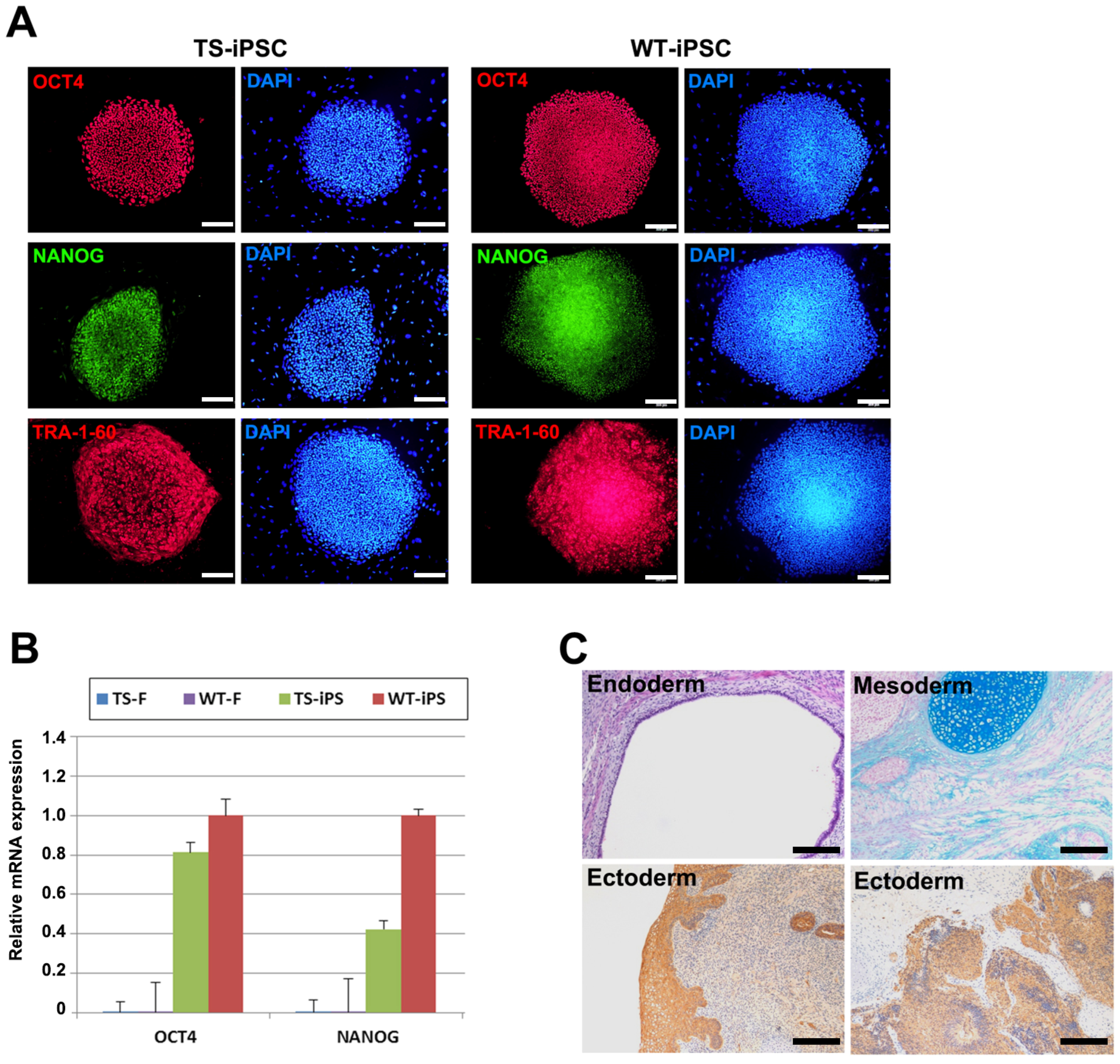 Ijms 26 00975 g002 Ijms 26 00975 g002