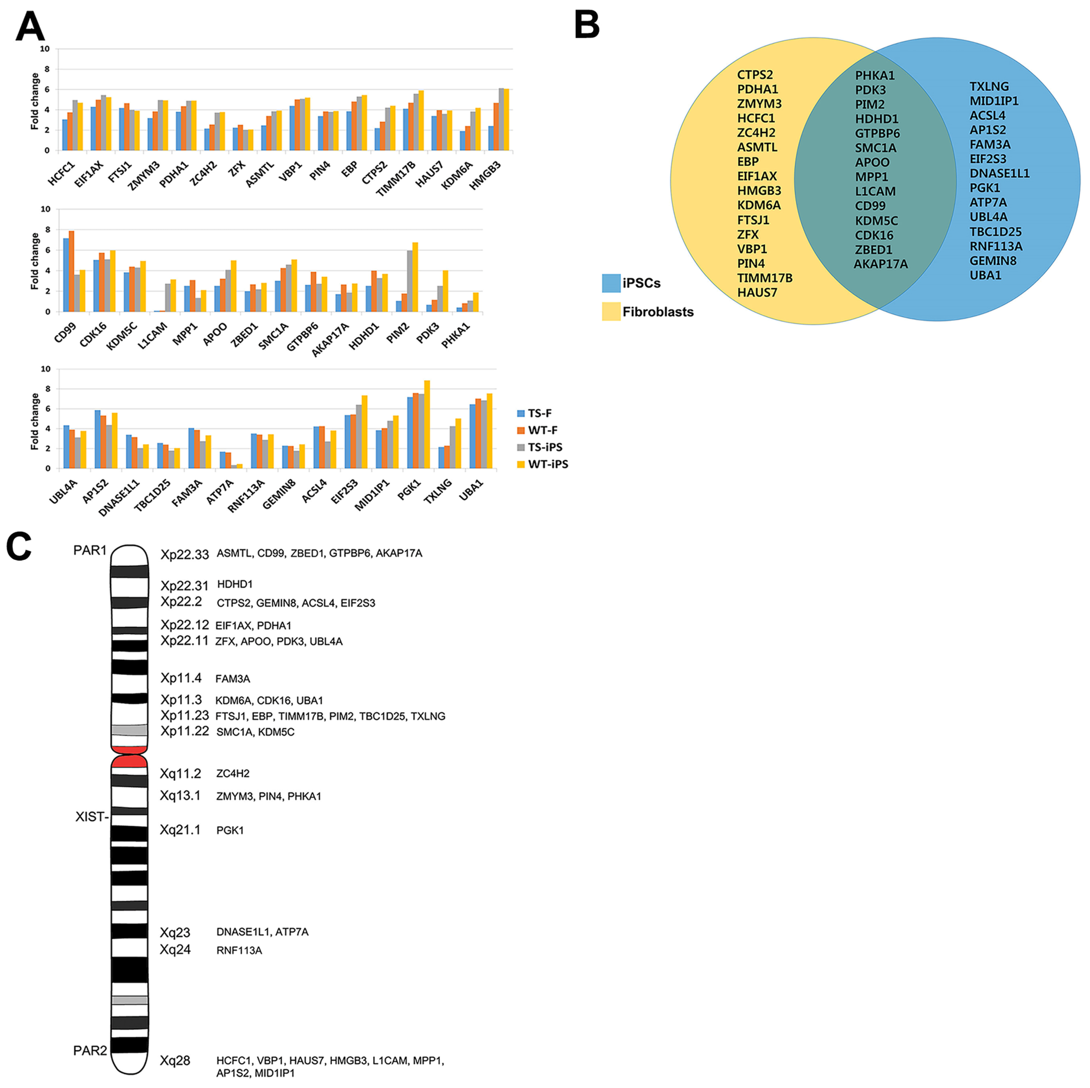 Ijms 26 00975 g005 Ijms 26 00975 g005