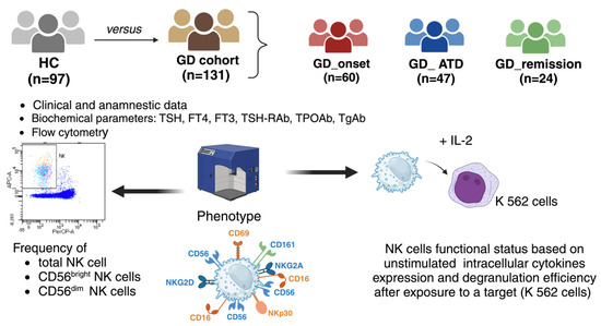Natural Killer Cells in Graves' Disease: Increased Frequency but