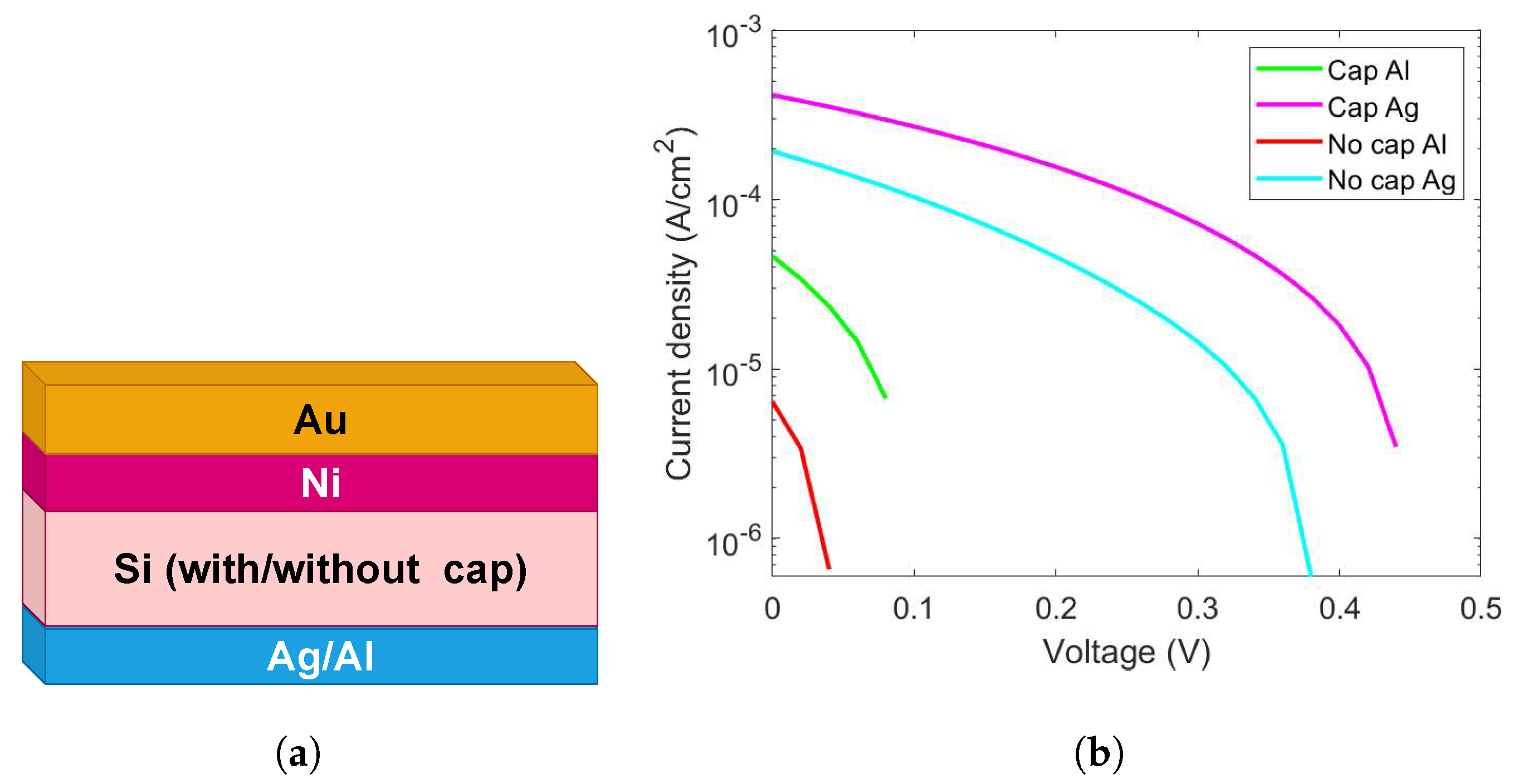 Ijms 26 01024 g002 Ijms 26 01024 g002
