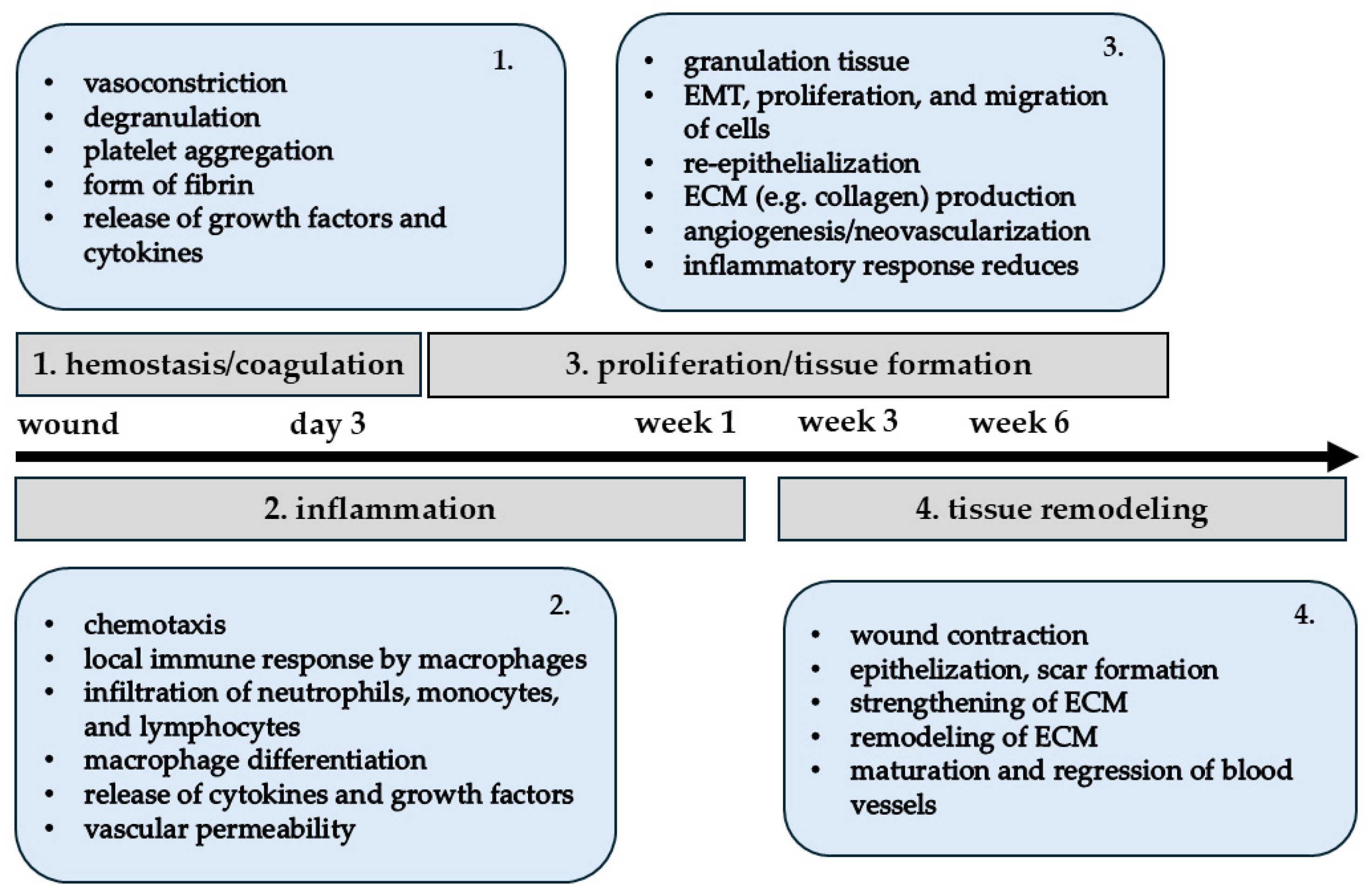 Ijms 26 01025 g002 Ijms 26 01025 g002