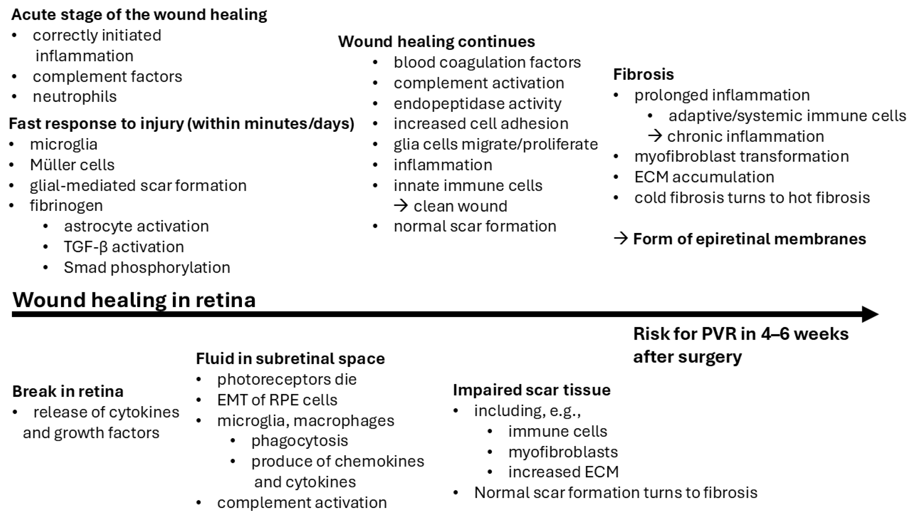 Ijms 26 01025 g003 Ijms 26 01025 g003