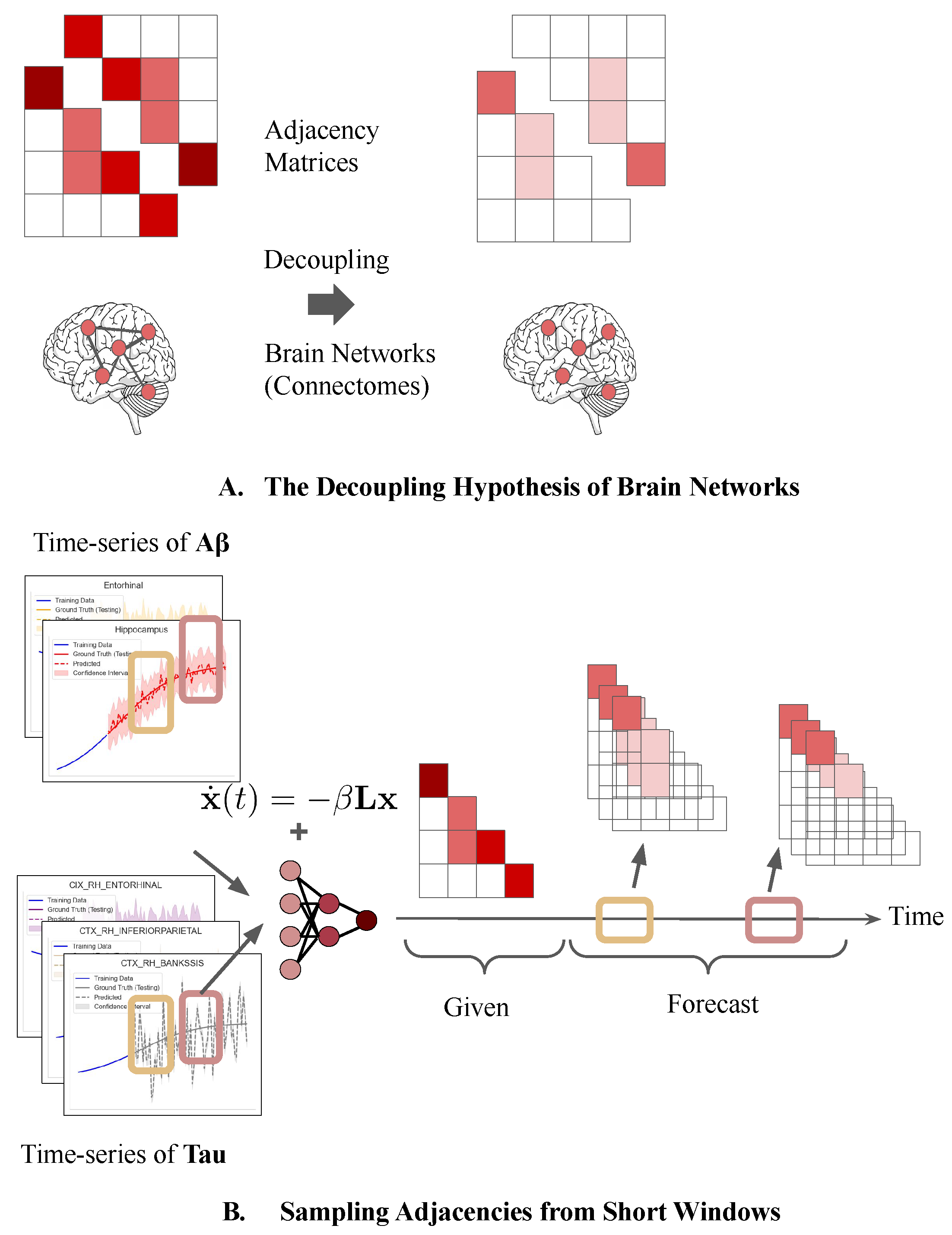 Ijms 26 01062 g001 Ijms 26 01062 g001