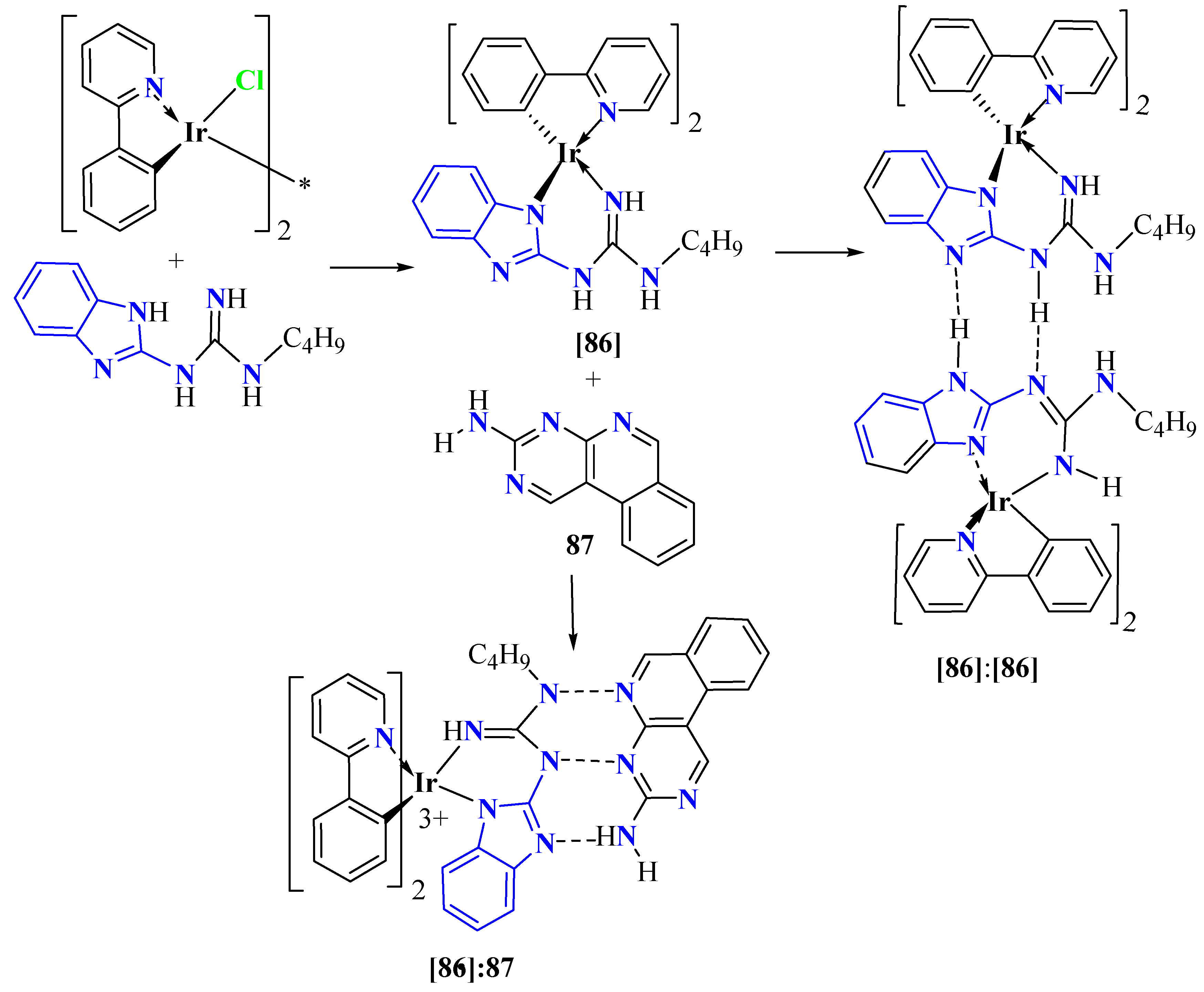 Ijms 26 01063 sch017