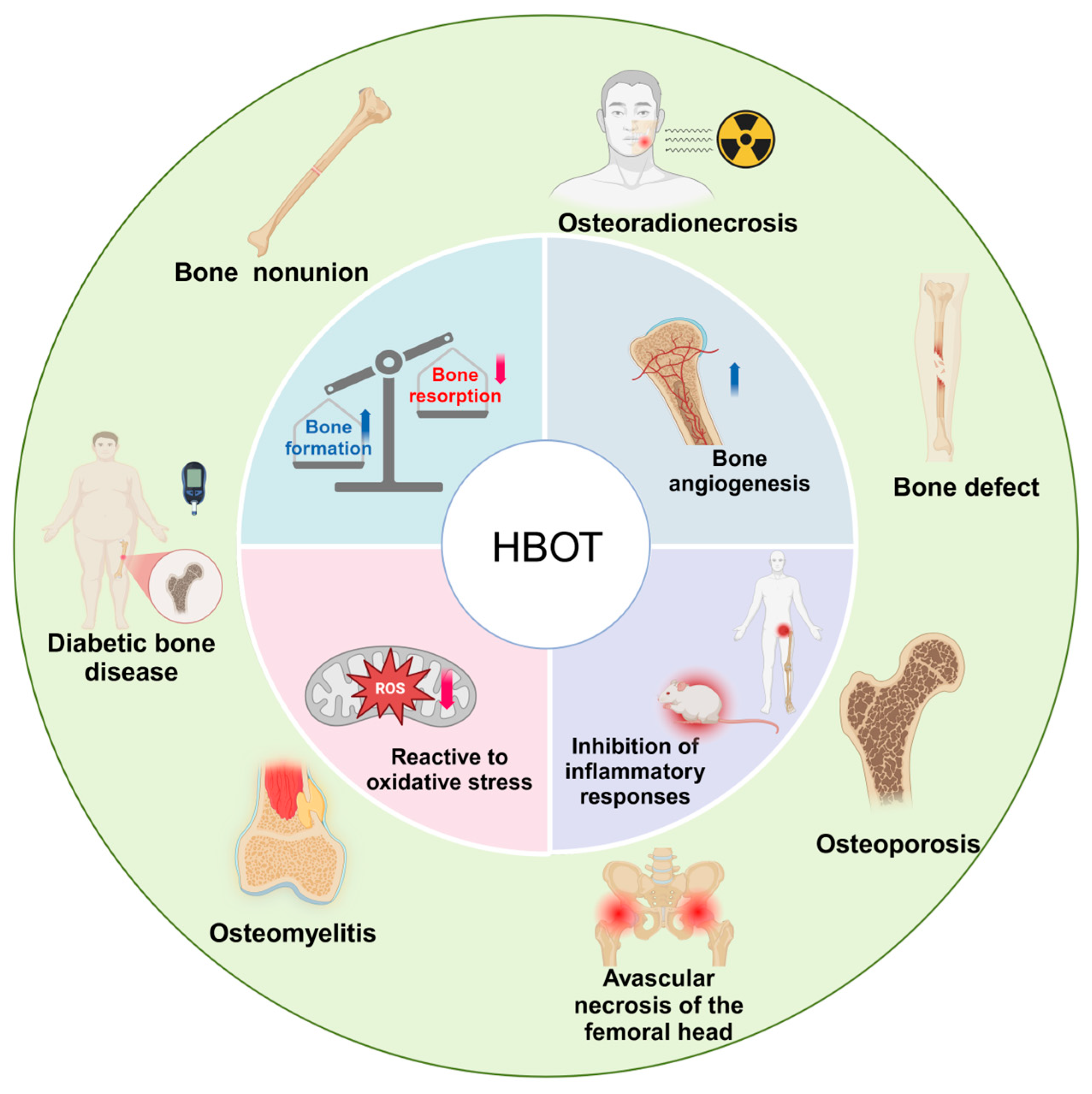 Ijms 26 01067 g001 Ijms 26 01067 g001