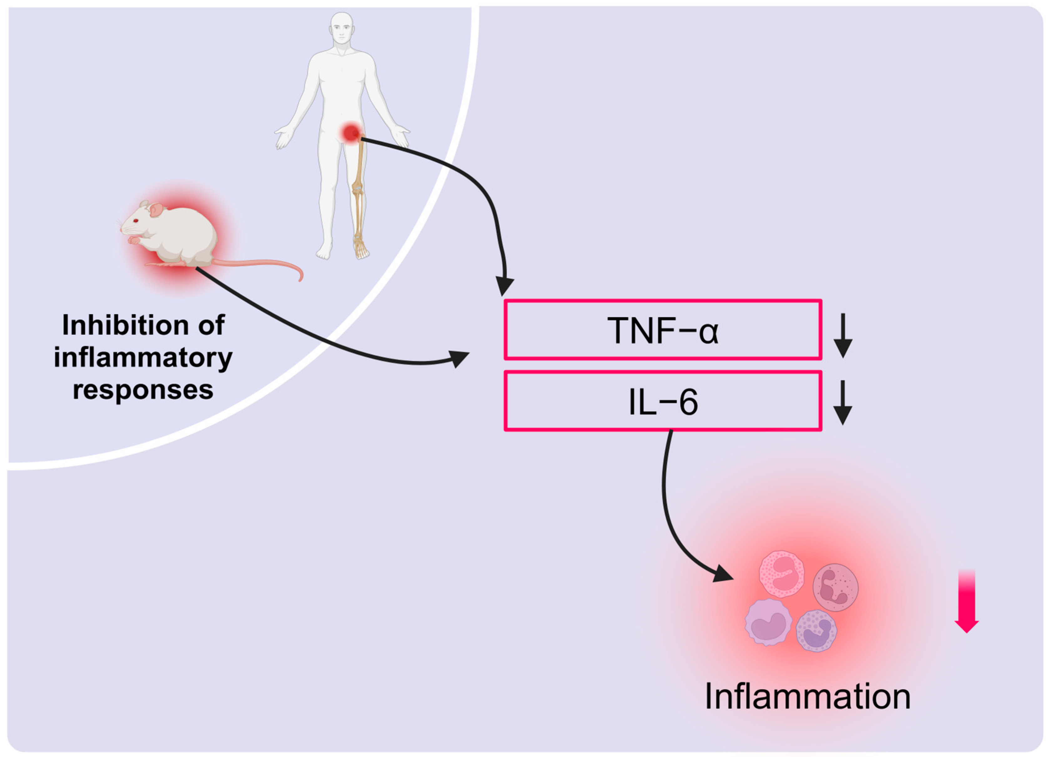 Ijms 26 01067 g005 Ijms 26 01067 g005