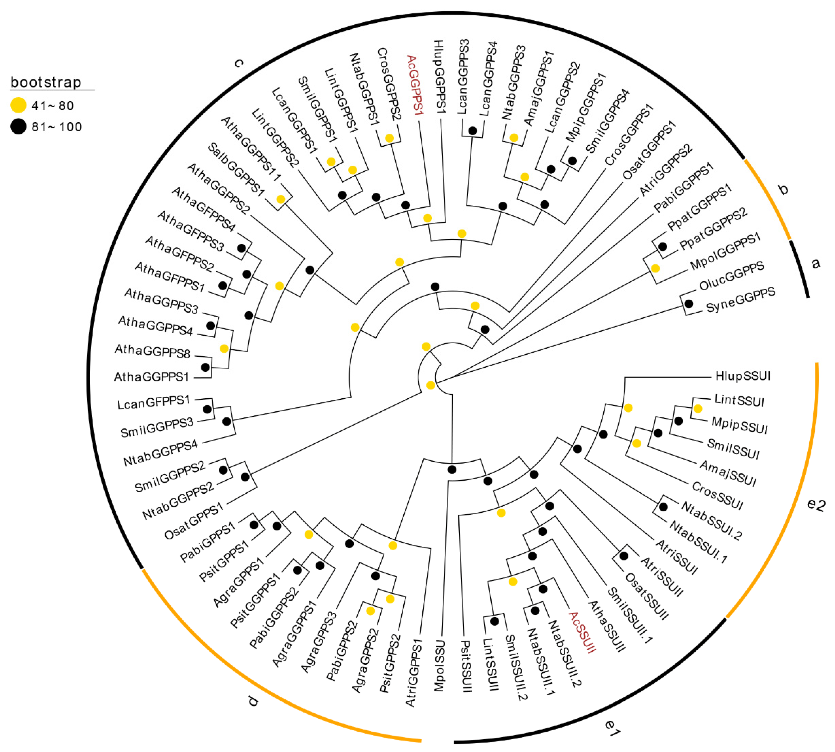 Ijms 26 01074 g002 Ijms 26 01074 g002