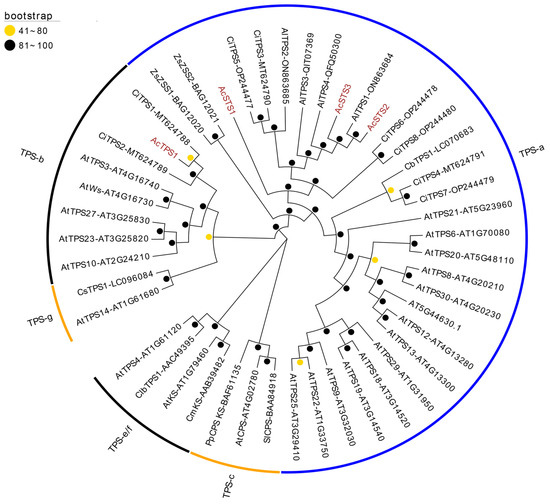 Integrated Analysis of Terpenoid Profiles and Full-Length Transcriptome ...