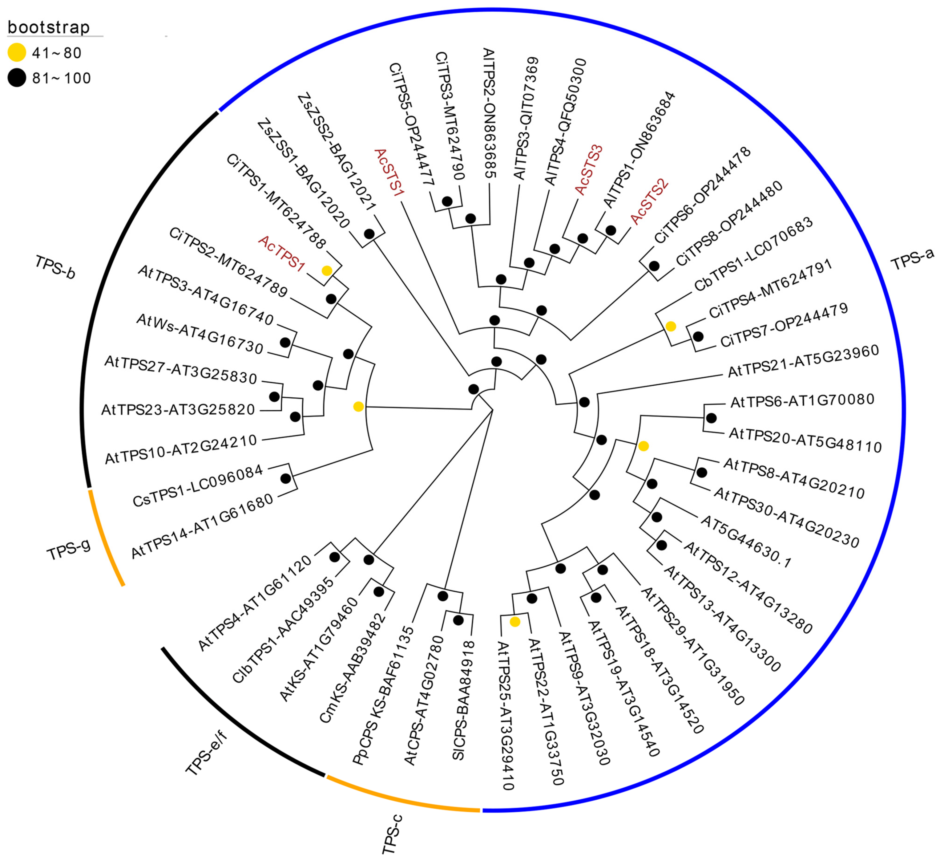 Ijms 26 01074 g003 Ijms 26 01074 g003