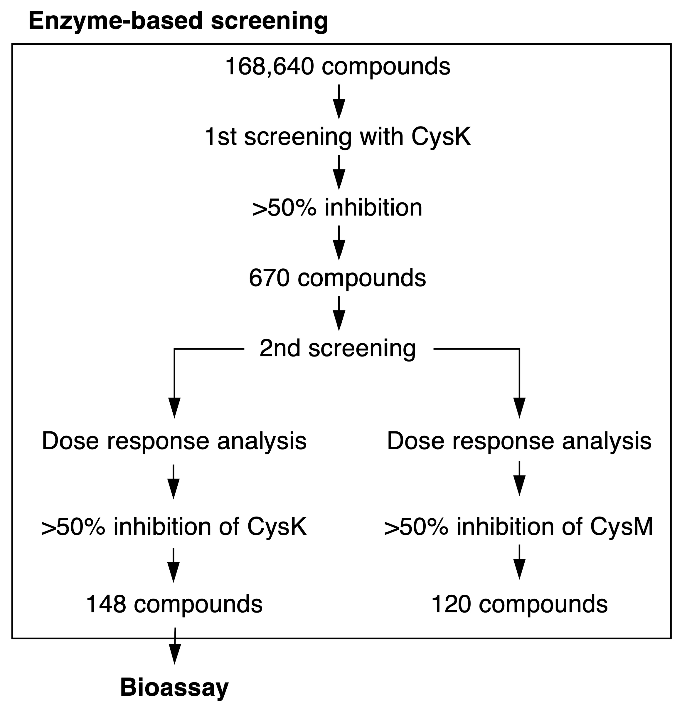 Ijms 26 01106 g003 Ijms 26 01106 g003
