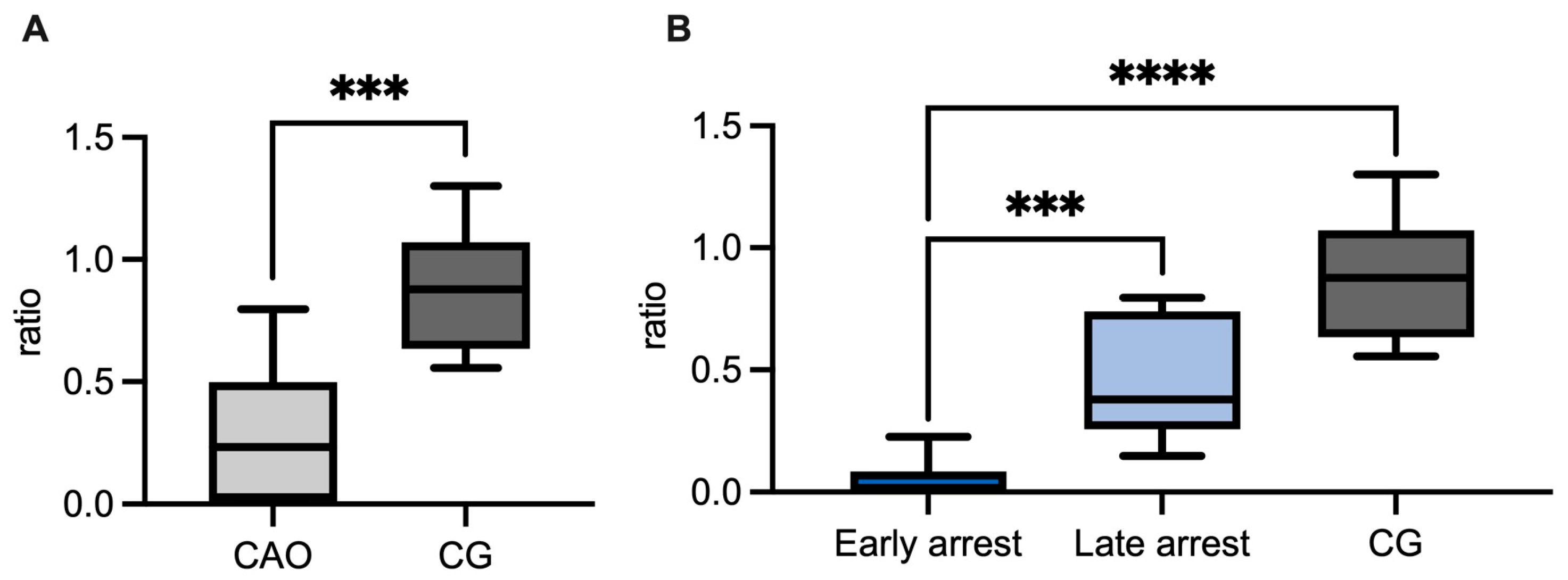 Ijms 26 01108 g010 Ijms 26 01108 g010