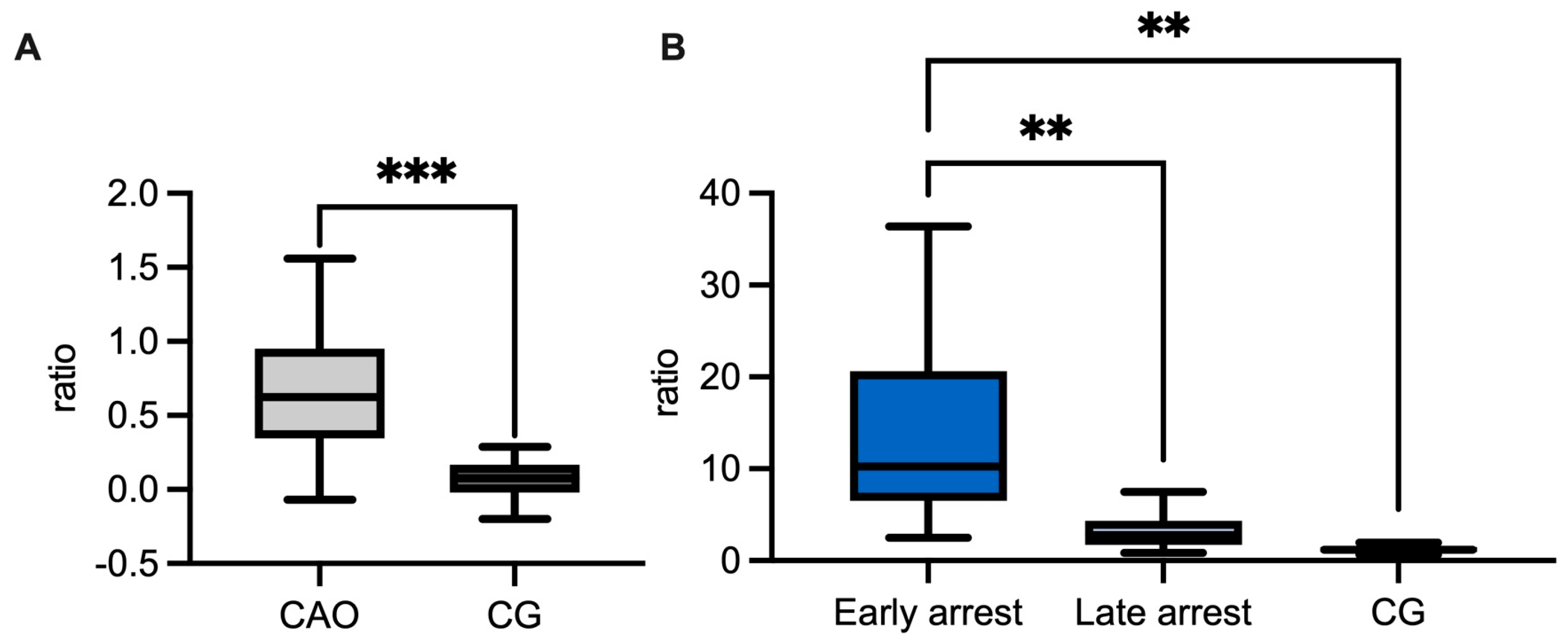Ijms 26 01108 g011 Ijms 26 01108 g011