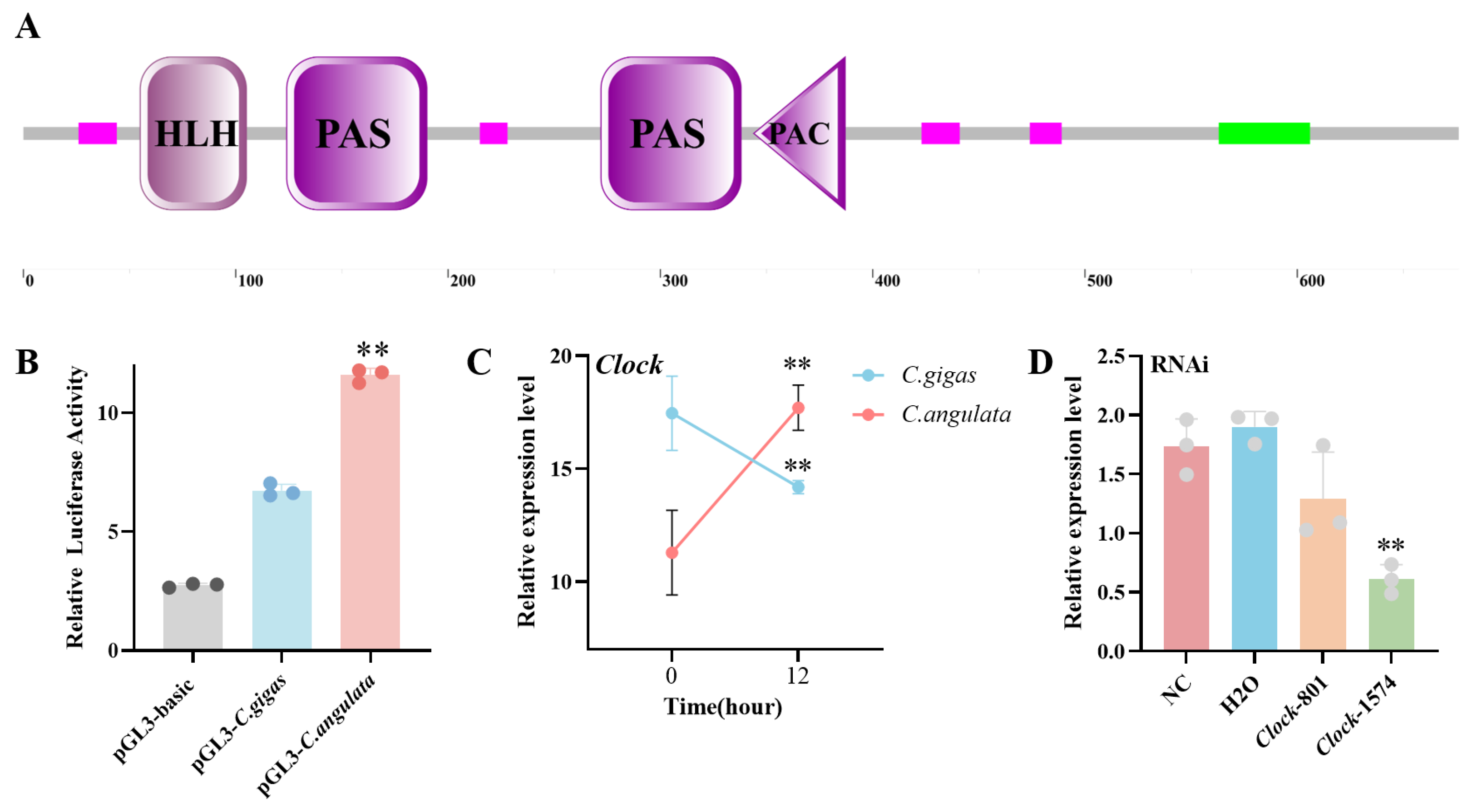 Ijms 26 01109 g001 Ijms 26 01109 g001