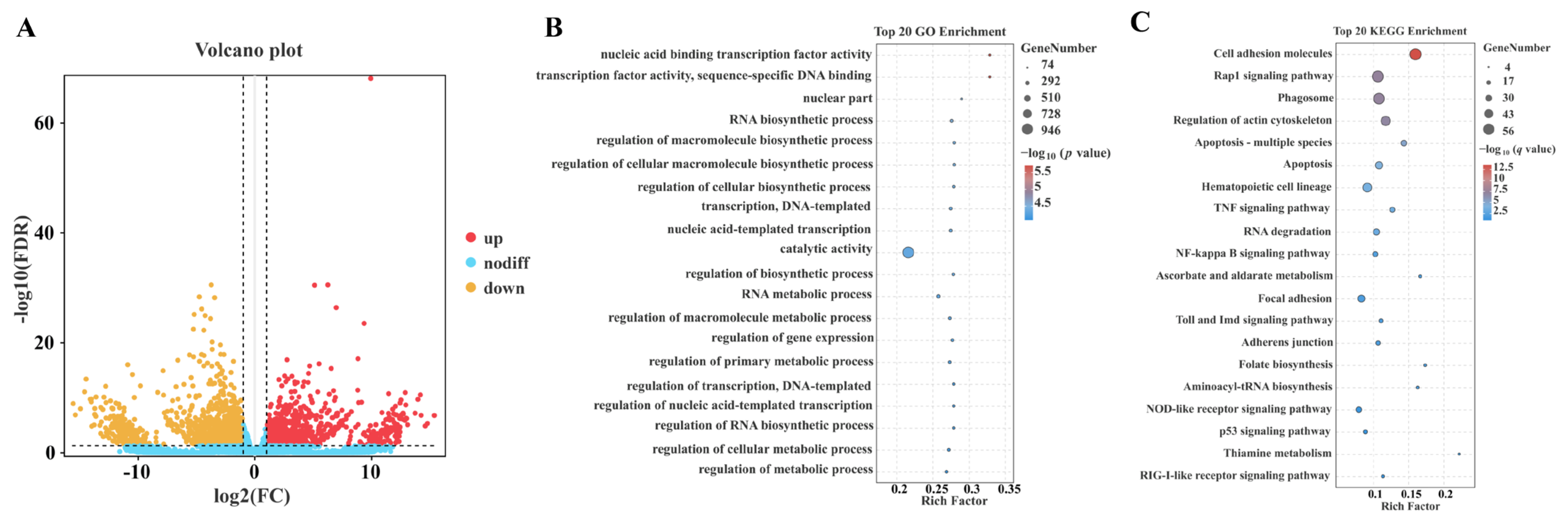 Ijms 26 01109 g002 Ijms 26 01109 g002
