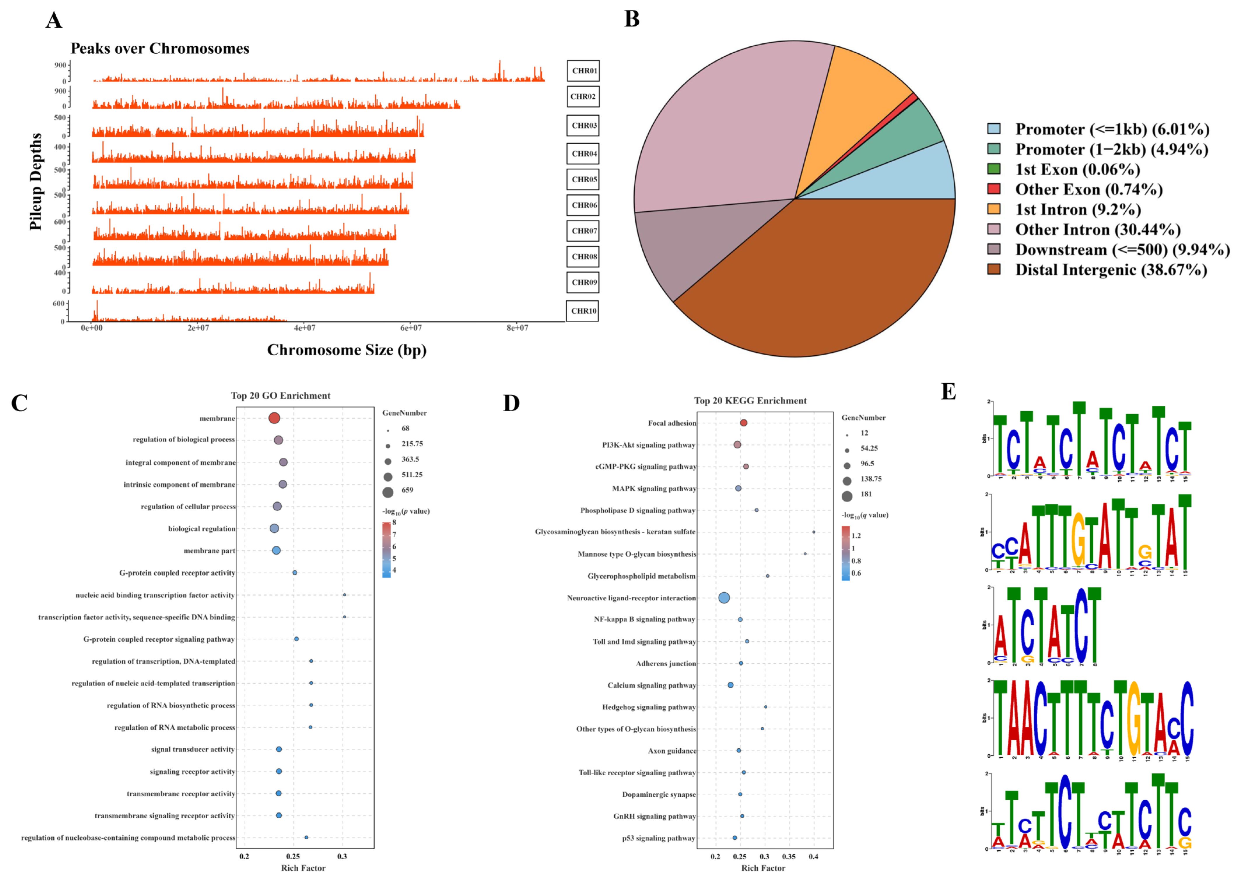 Ijms 26 01109 g003 Ijms 26 01109 g003