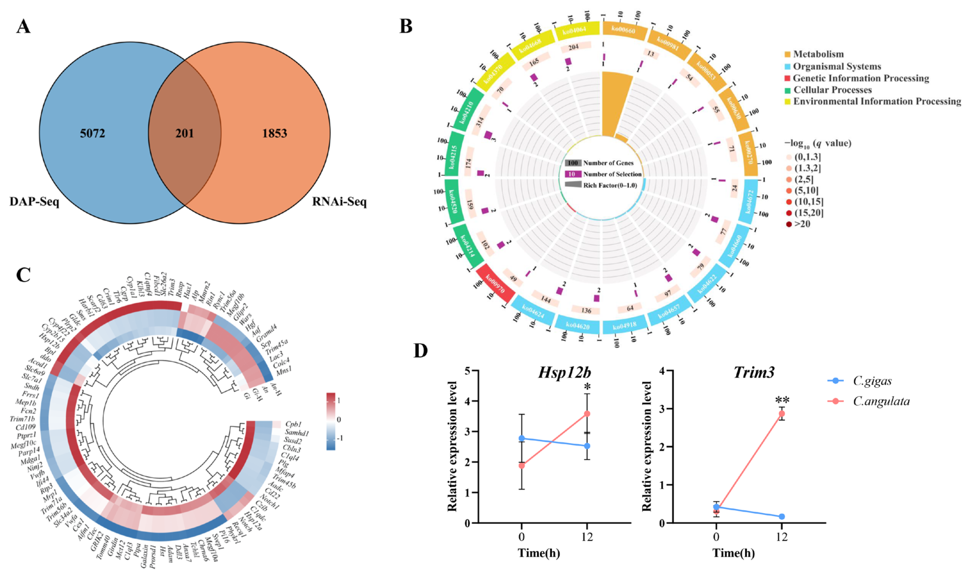 Ijms 26 01109 g004 Ijms 26 01109 g004