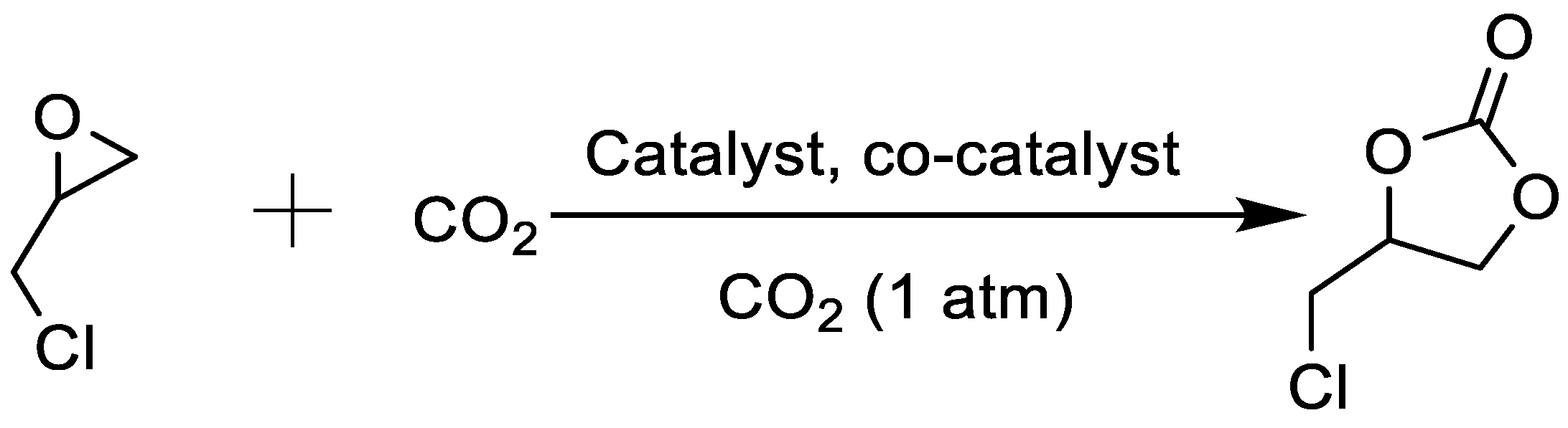 Ijms 26 01111 sch002