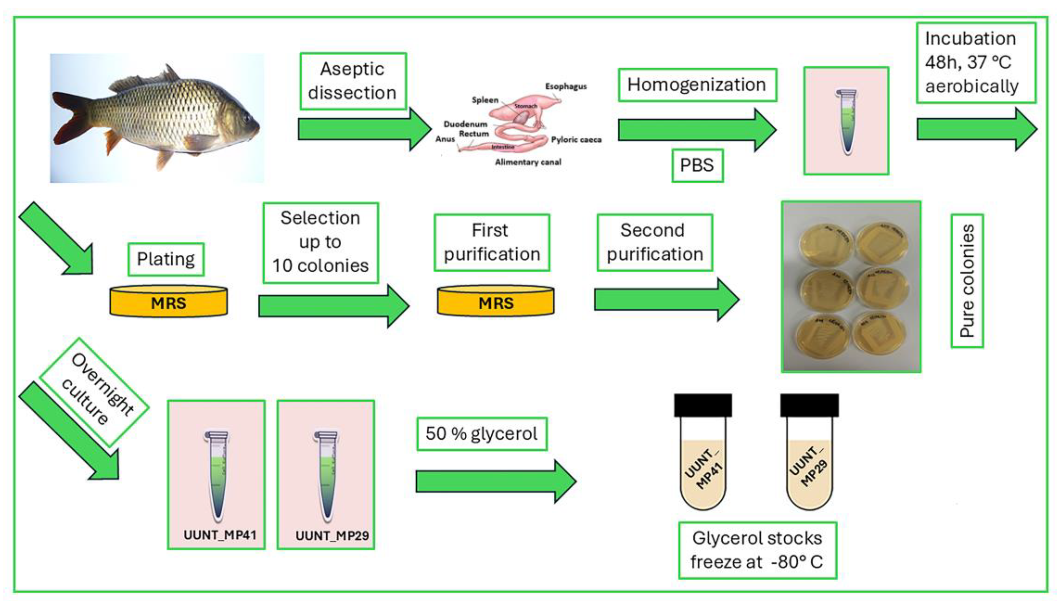 Ijms 26 01119 sch001