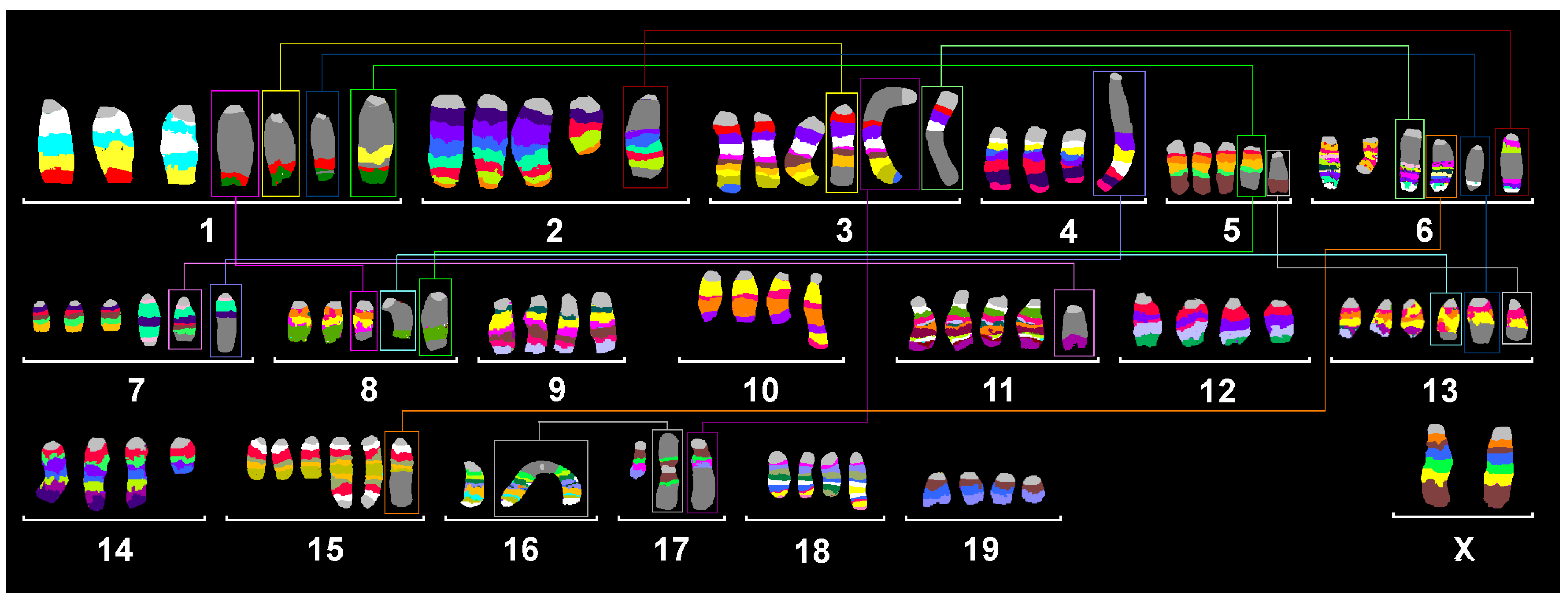 Ijms 26 01127 g001 Ijms 26 01127 g001