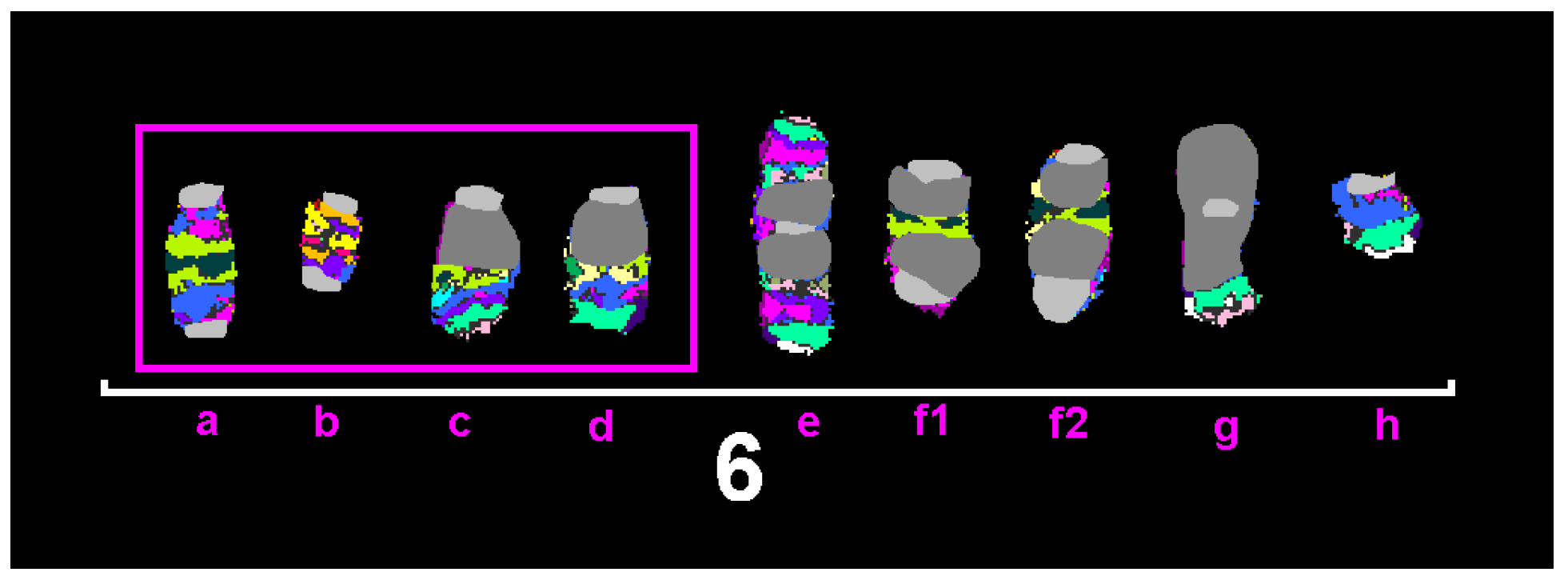 Ijms 26 01127 g002 Ijms 26 01127 g002