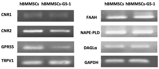 Ijms 26 01143 g005