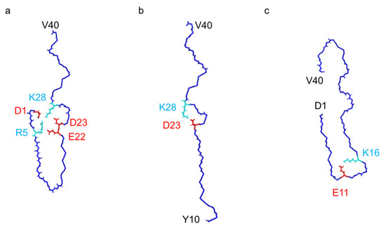 Infibril Elucidating the Unique J-Shaped Protomer Structure of Amyloid-β(1-40 ...