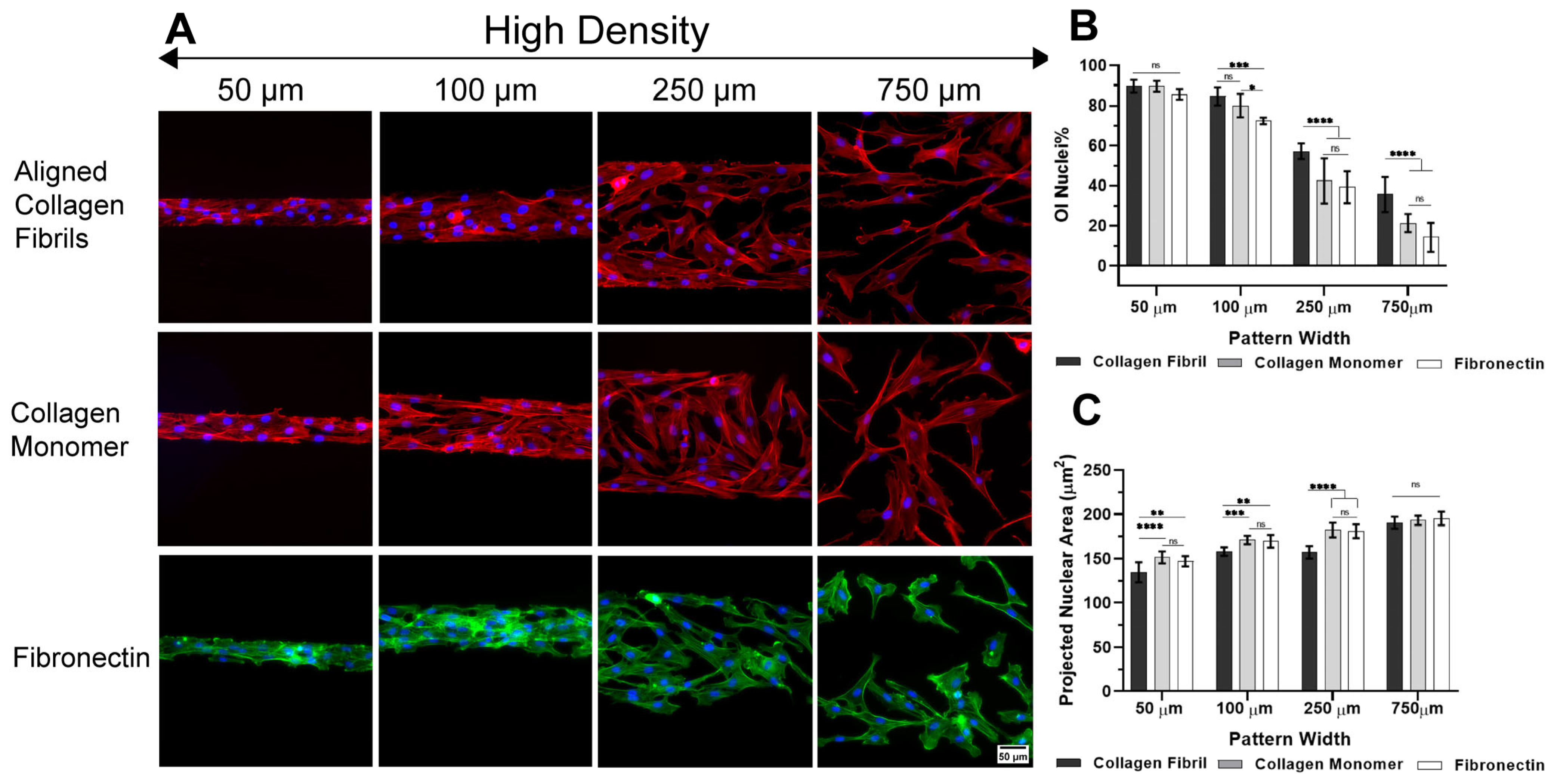 Ijms 26 01183 g001 Ijms 26 01183 g001