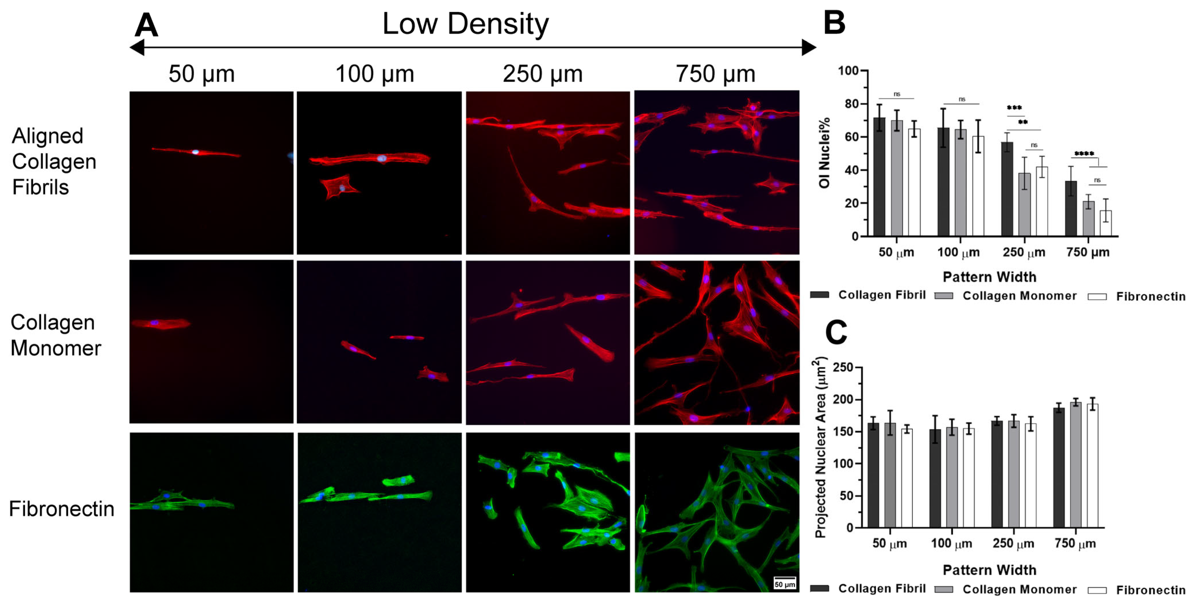 Ijms 26 01183 g002 Ijms 26 01183 g002
