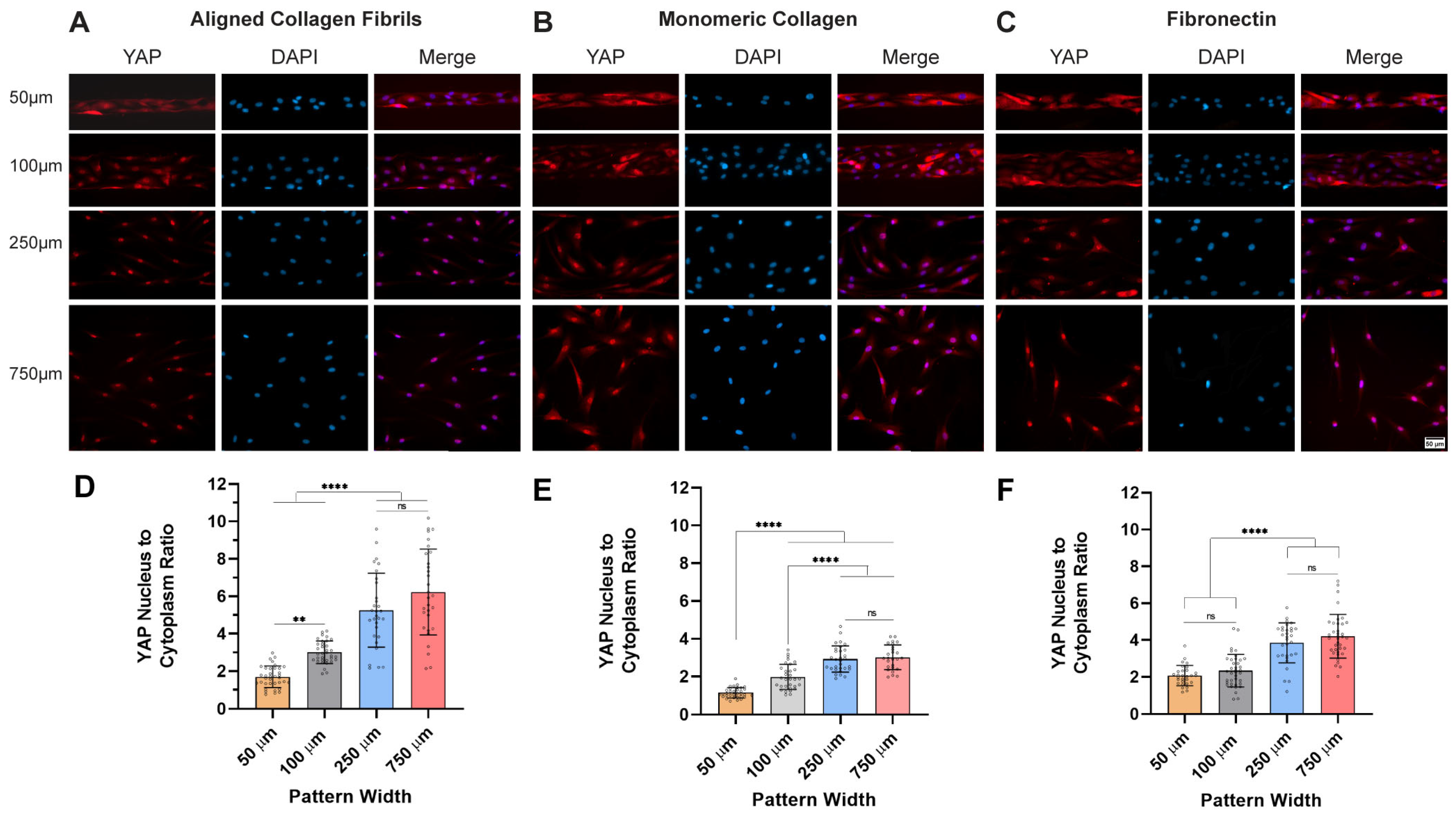 Ijms 26 01183 g003 Ijms 26 01183 g003