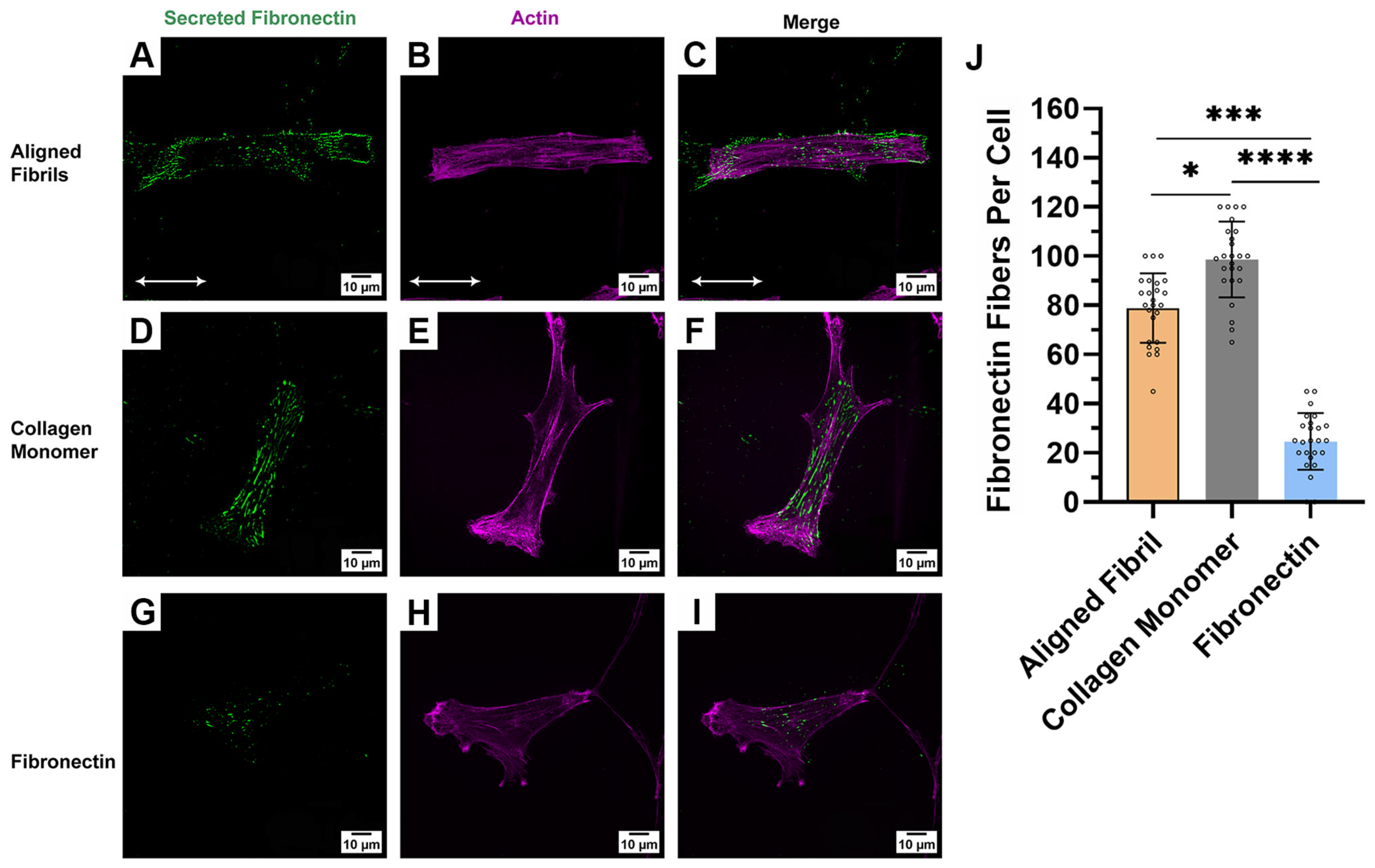 Ijms 26 01183 g007 Ijms 26 01183 g007