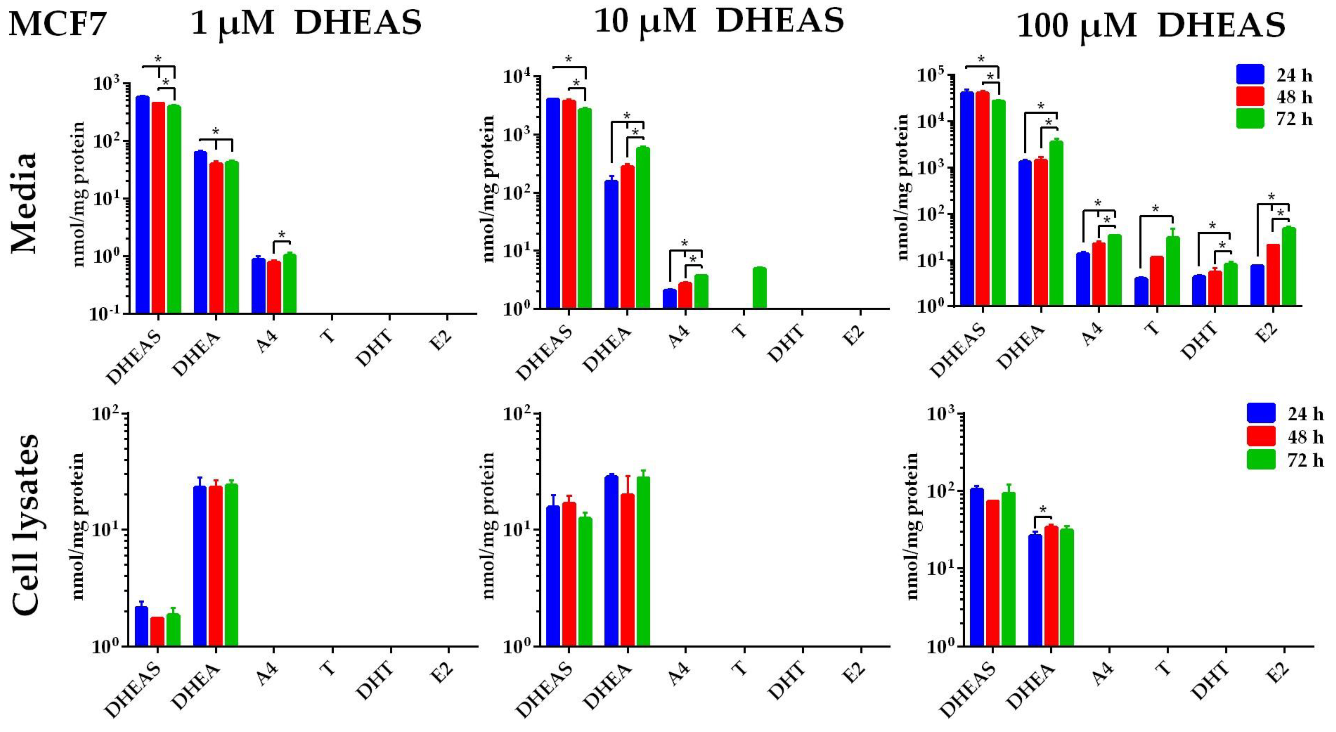Ijms 26 01188 g003 Ijms 26 01188 g003