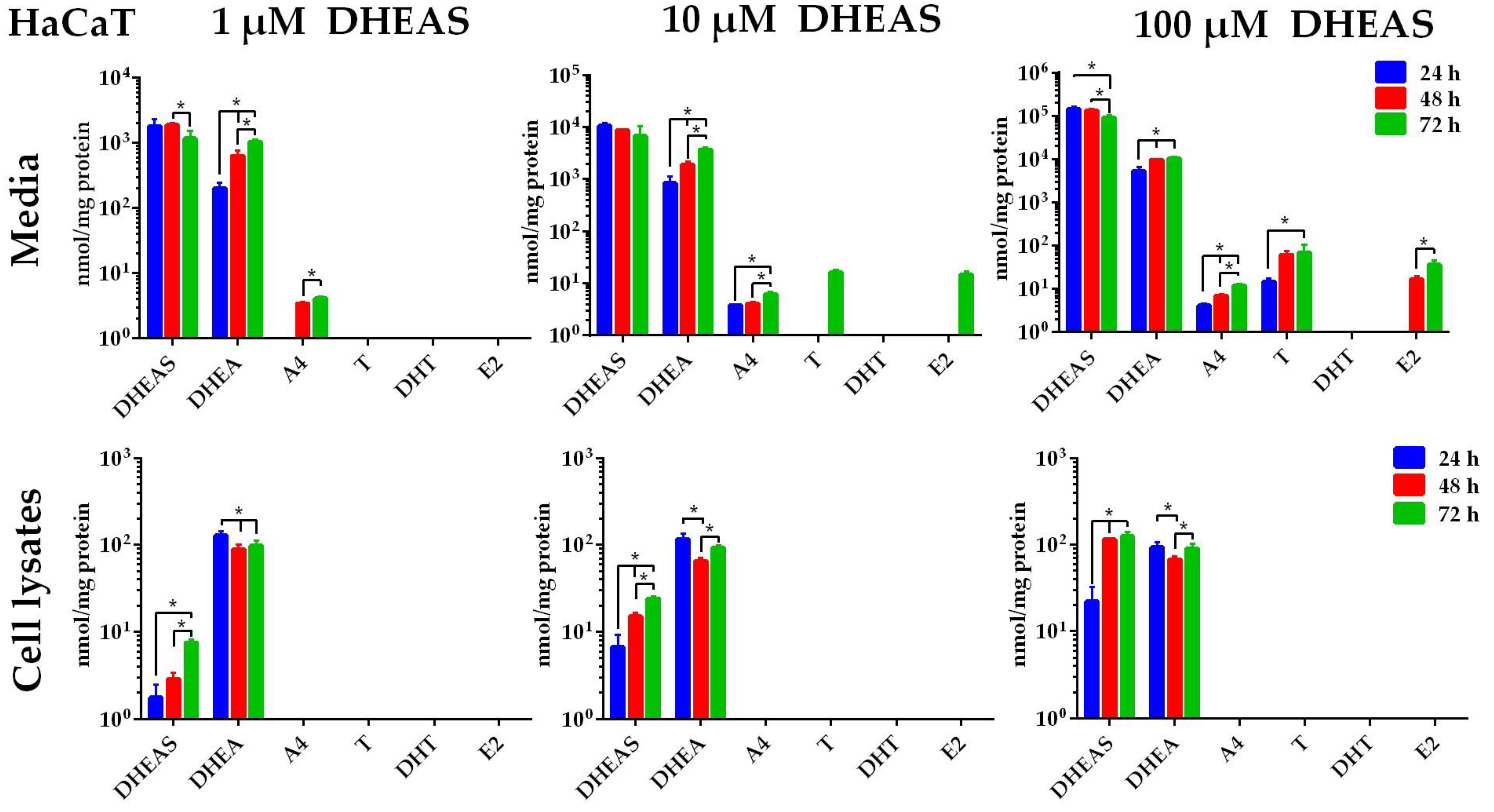Ijms 26 01188 g004 Ijms 26 01188 g004
