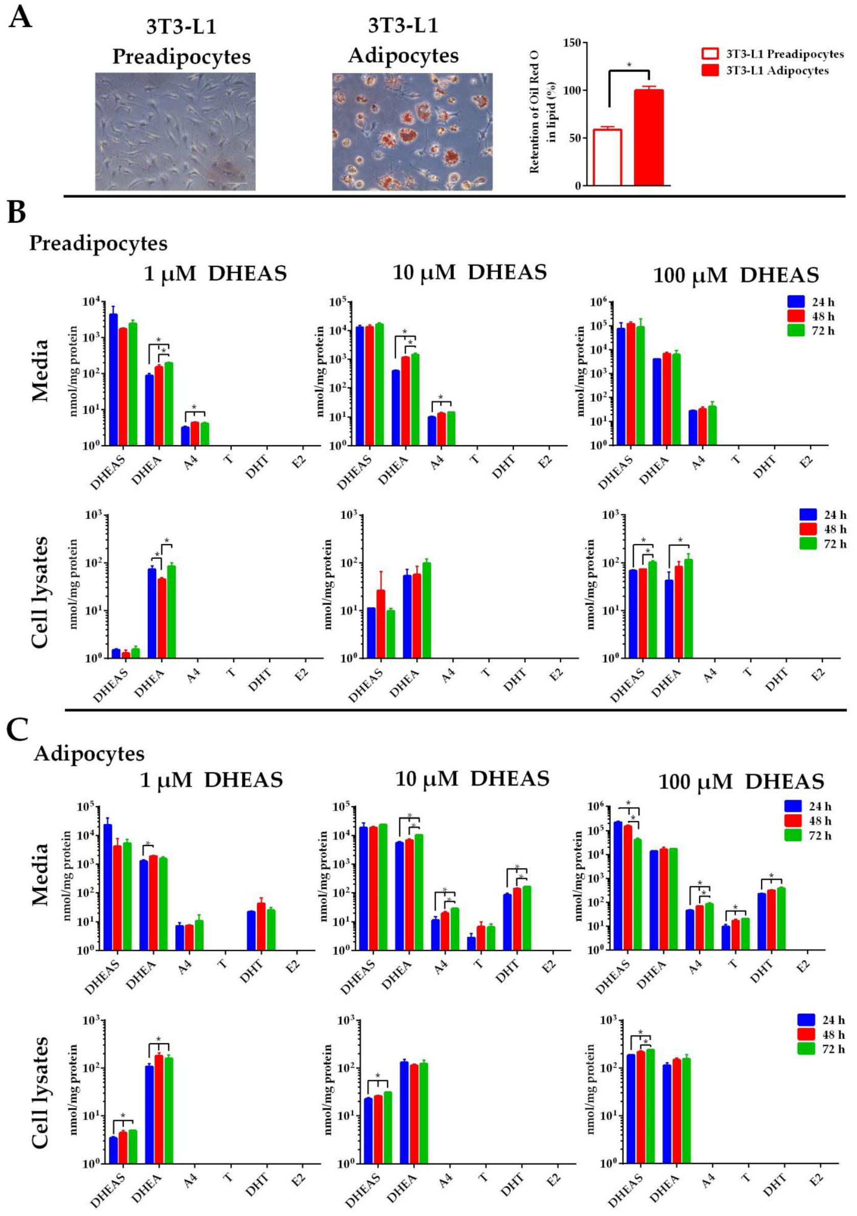 Ijms 26 01188 g006 Ijms 26 01188 g006