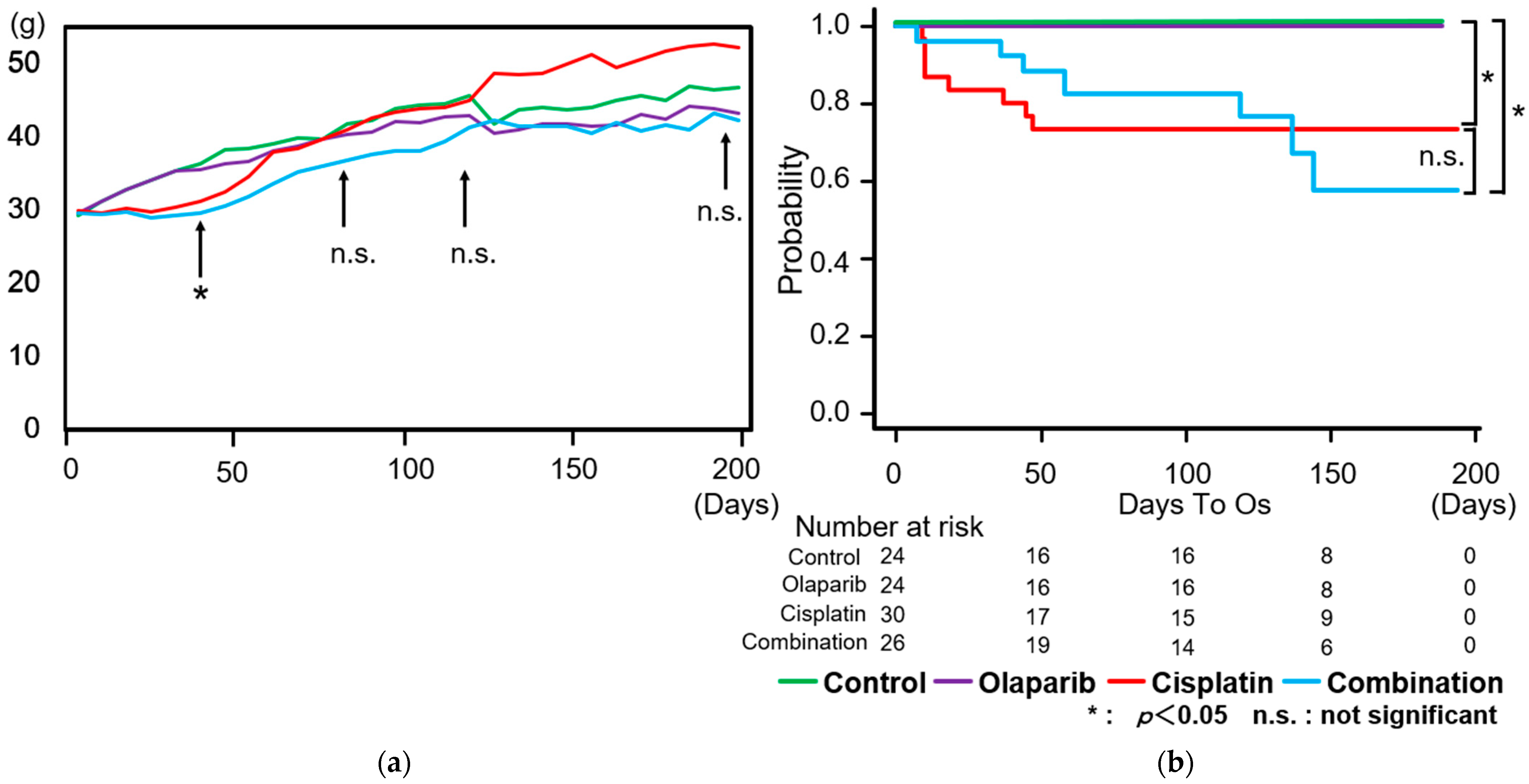 Ijms 26 01191 g001 Ijms 26 01191 g001