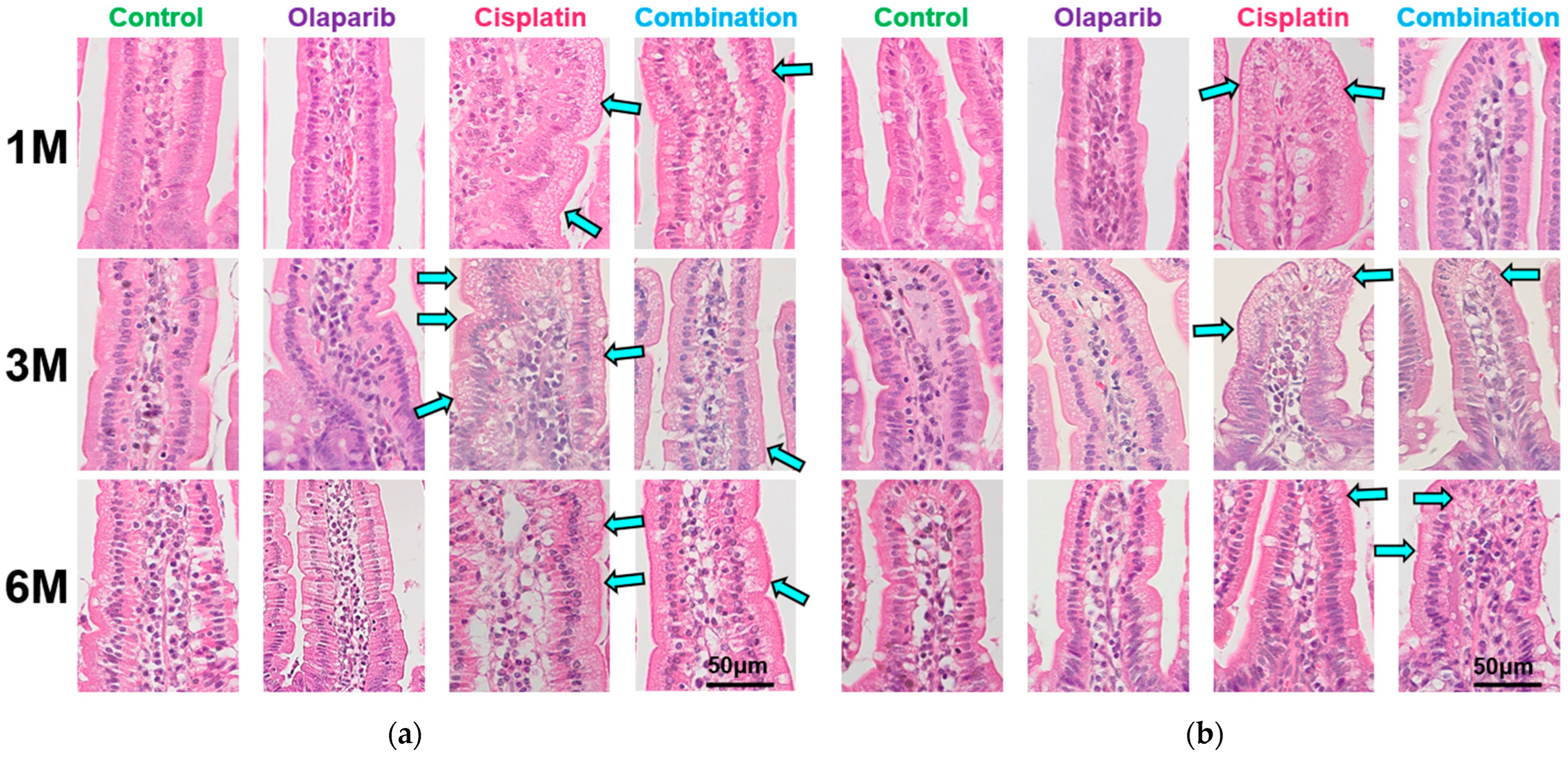 Ijms 26 01191 g003 Ijms 26 01191 g003
