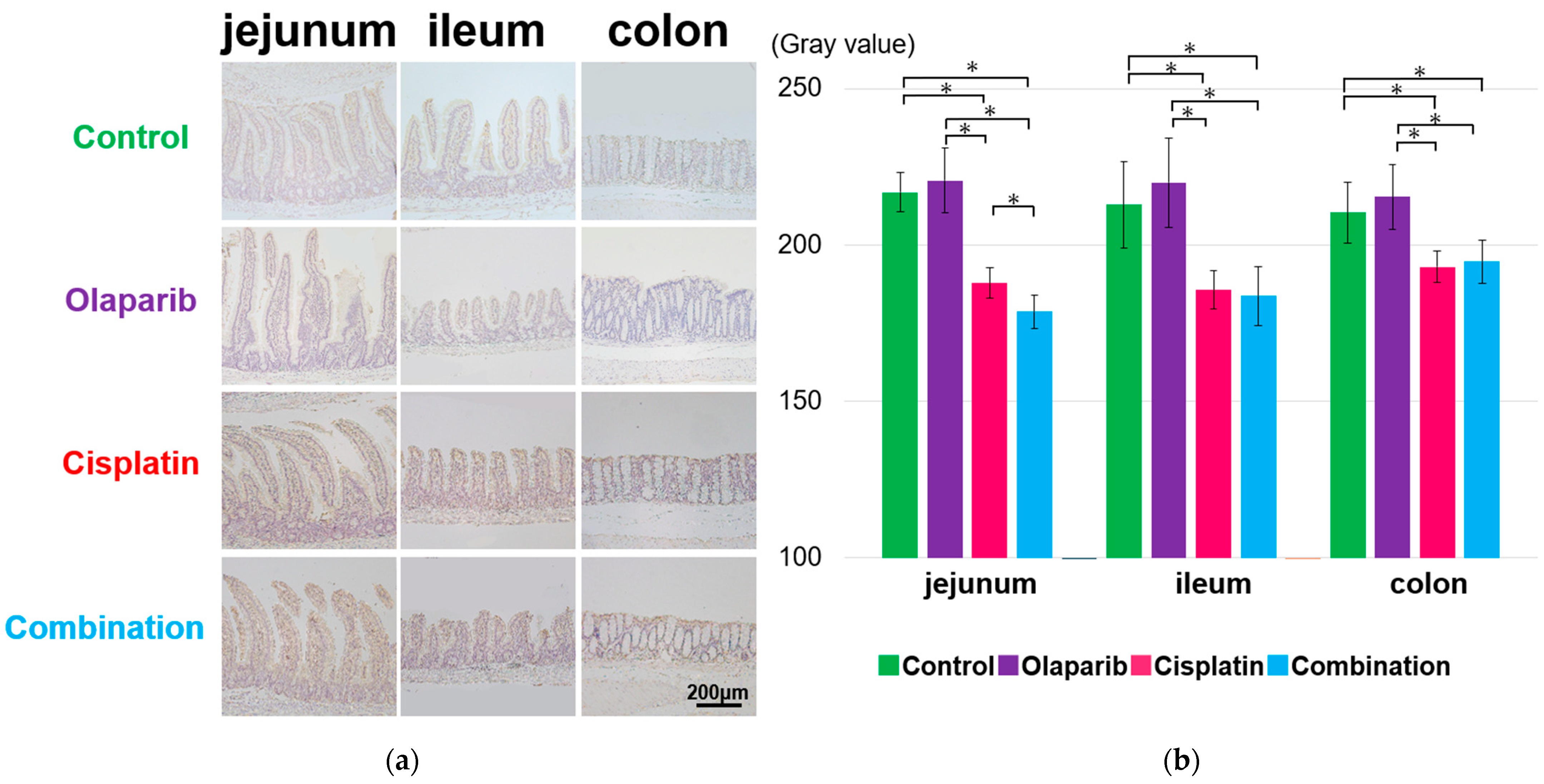 Ijms 26 01191 g004 Ijms 26 01191 g004