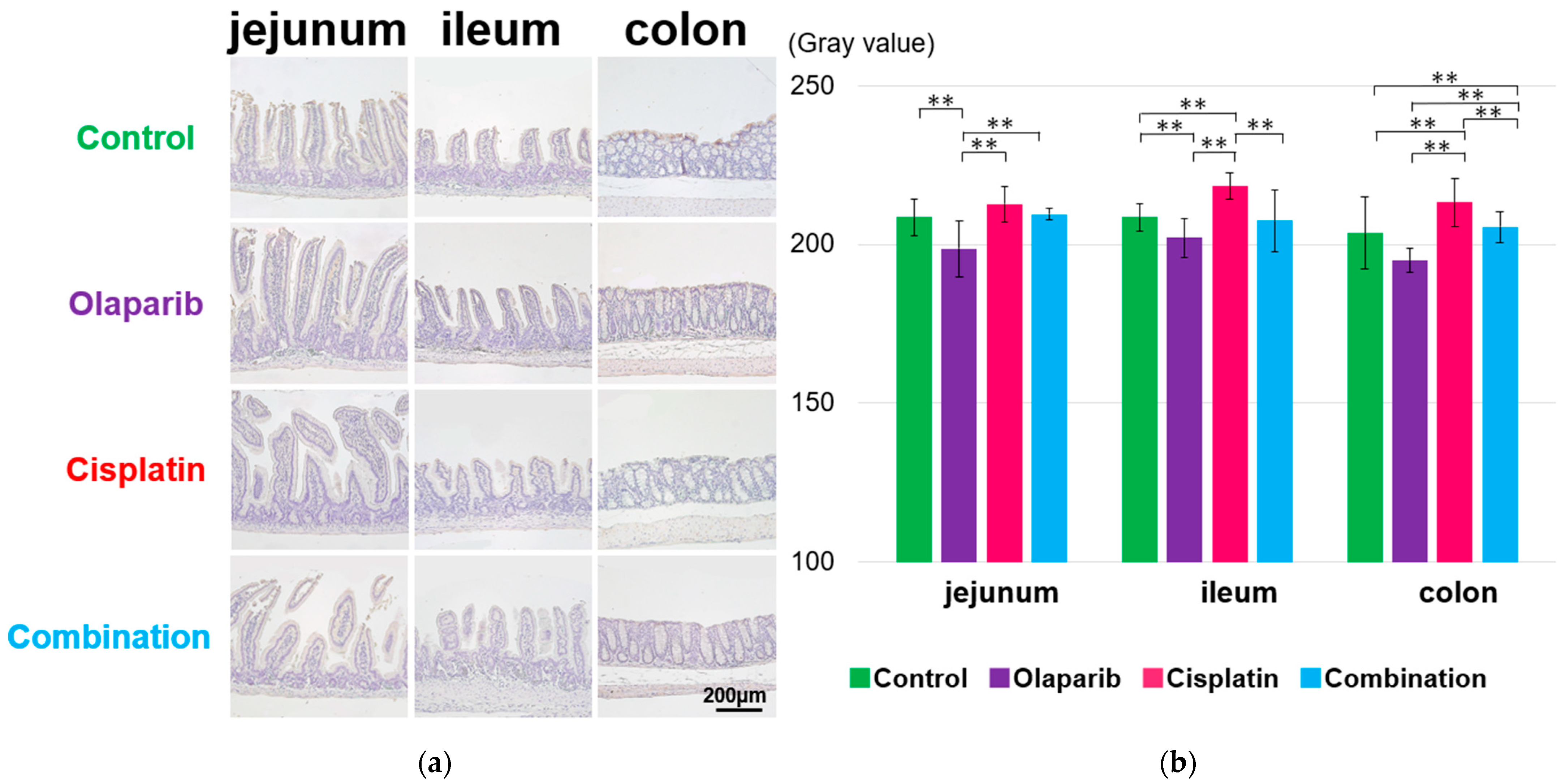 Ijms 26 01191 g005 Ijms 26 01191 g005