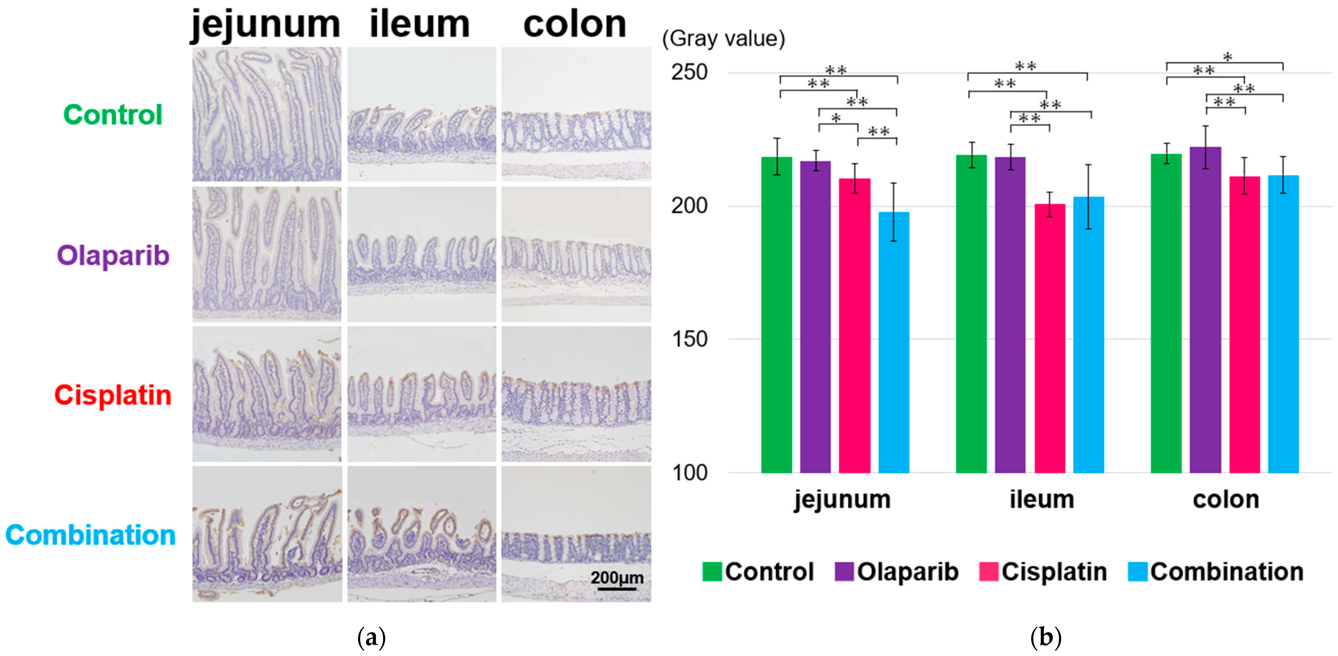 Ijms 26 01191 g006 Ijms 26 01191 g006
