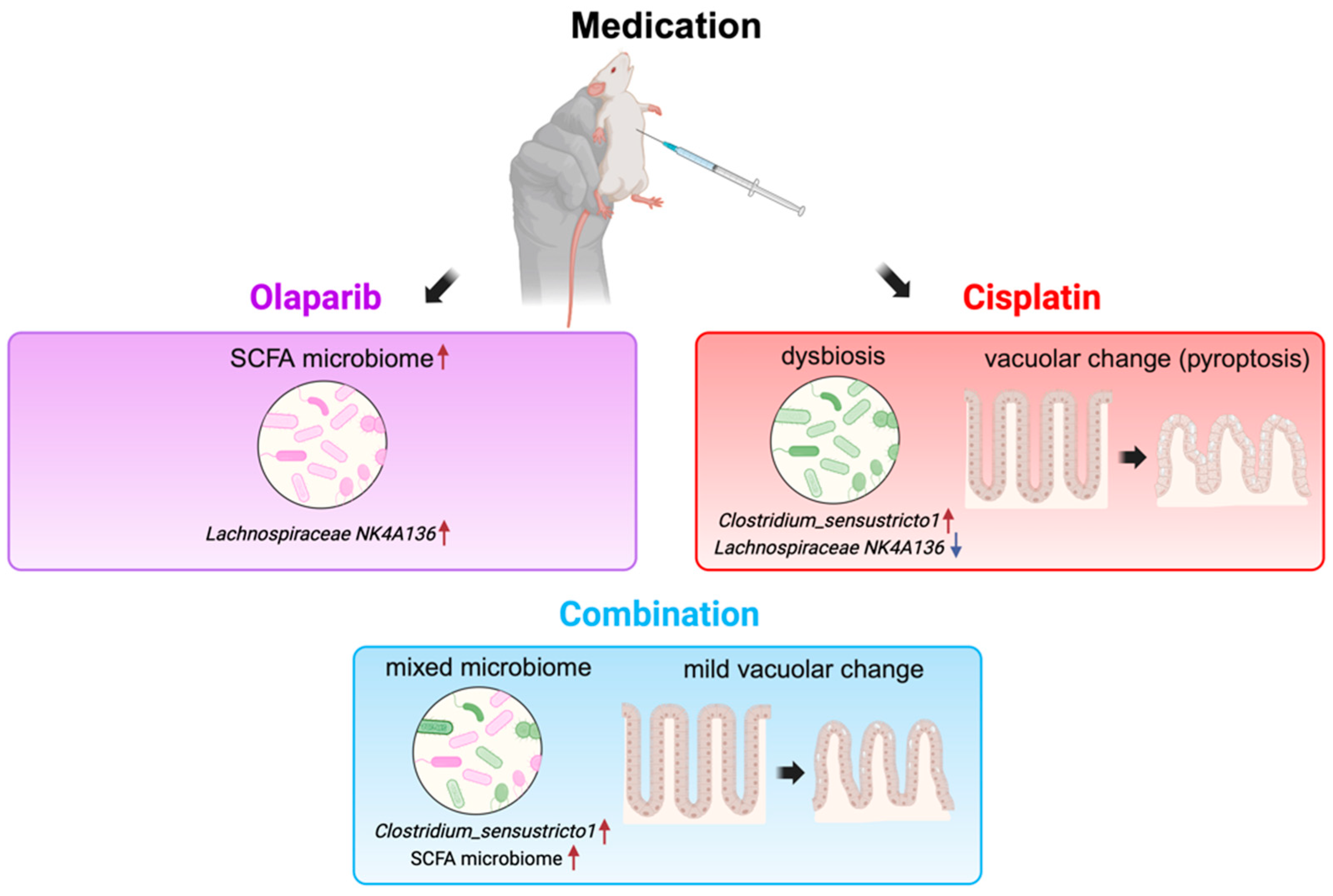 Ijms 26 01191 g012 Ijms 26 01191 g012