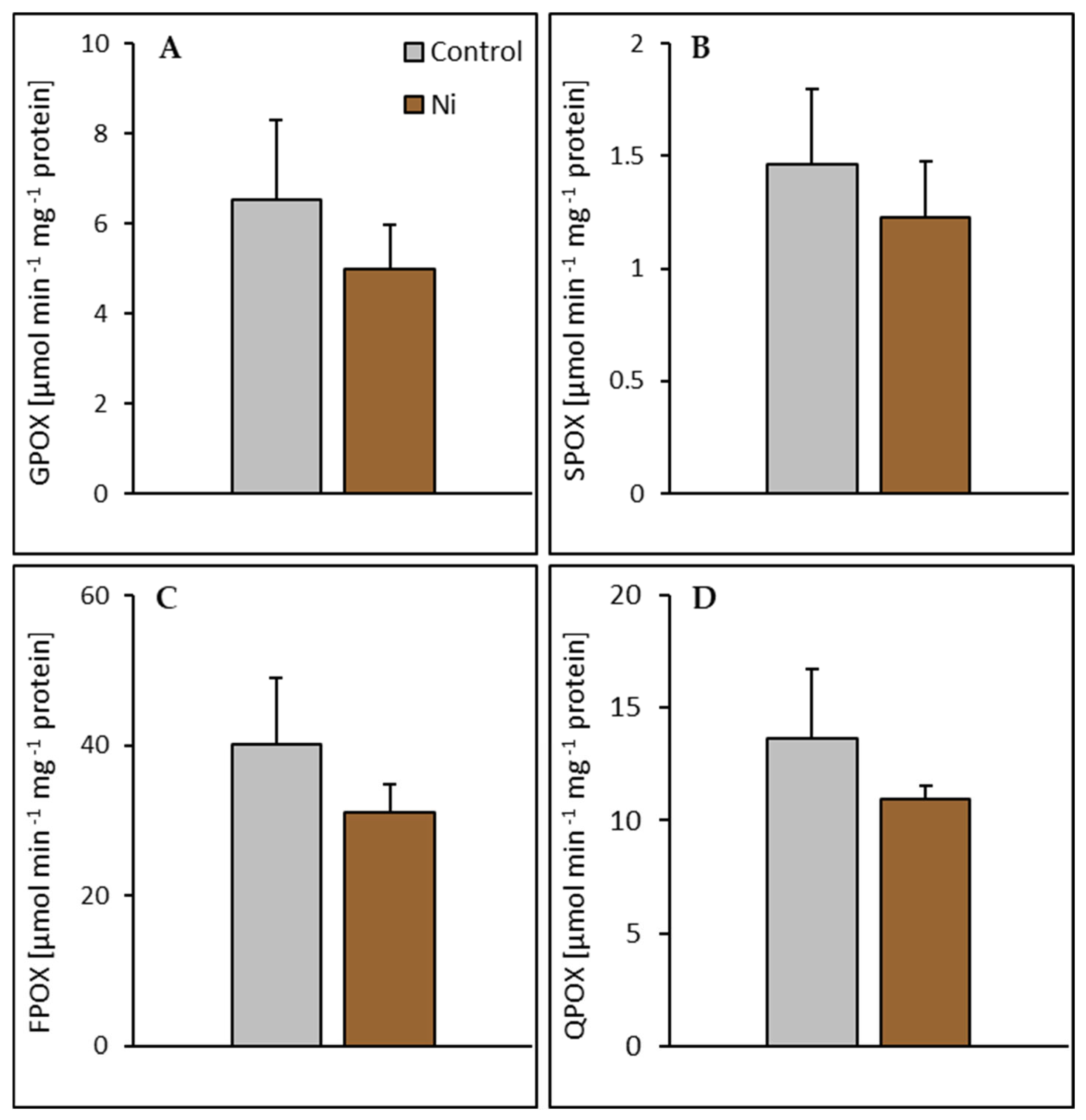 Ijms 26 01237 g006 Ijms 26 01237 g006