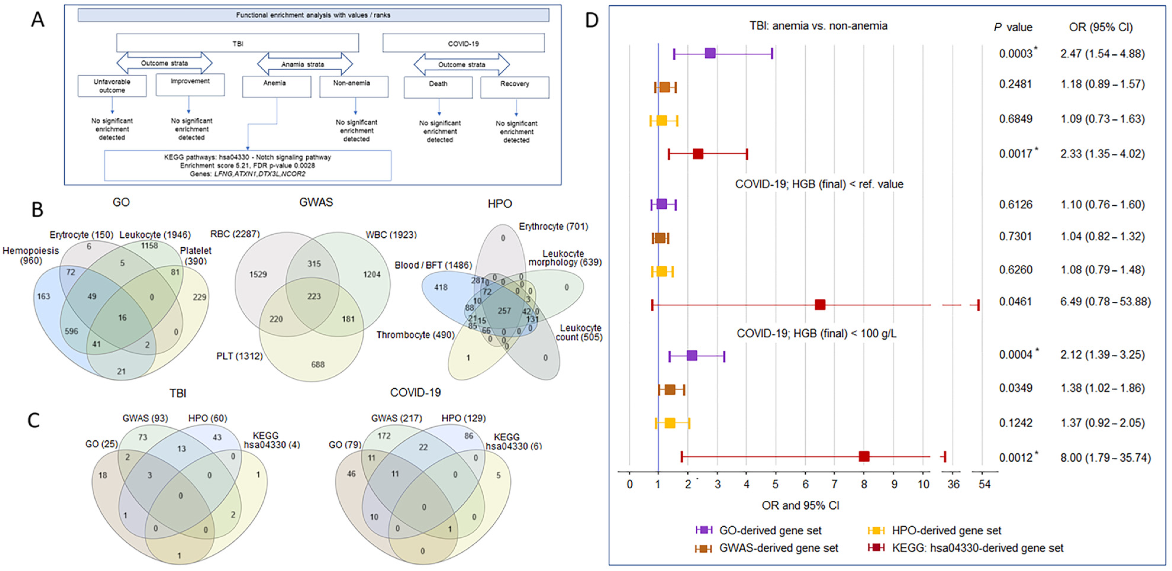 Ijms 26 01239 g005 Ijms 26 01239 g005